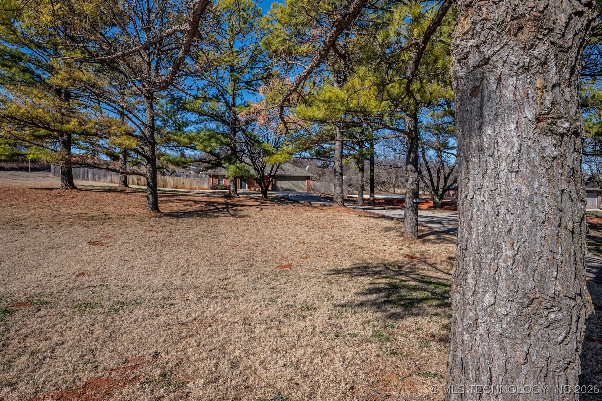 27011 Pine Property Photo 33