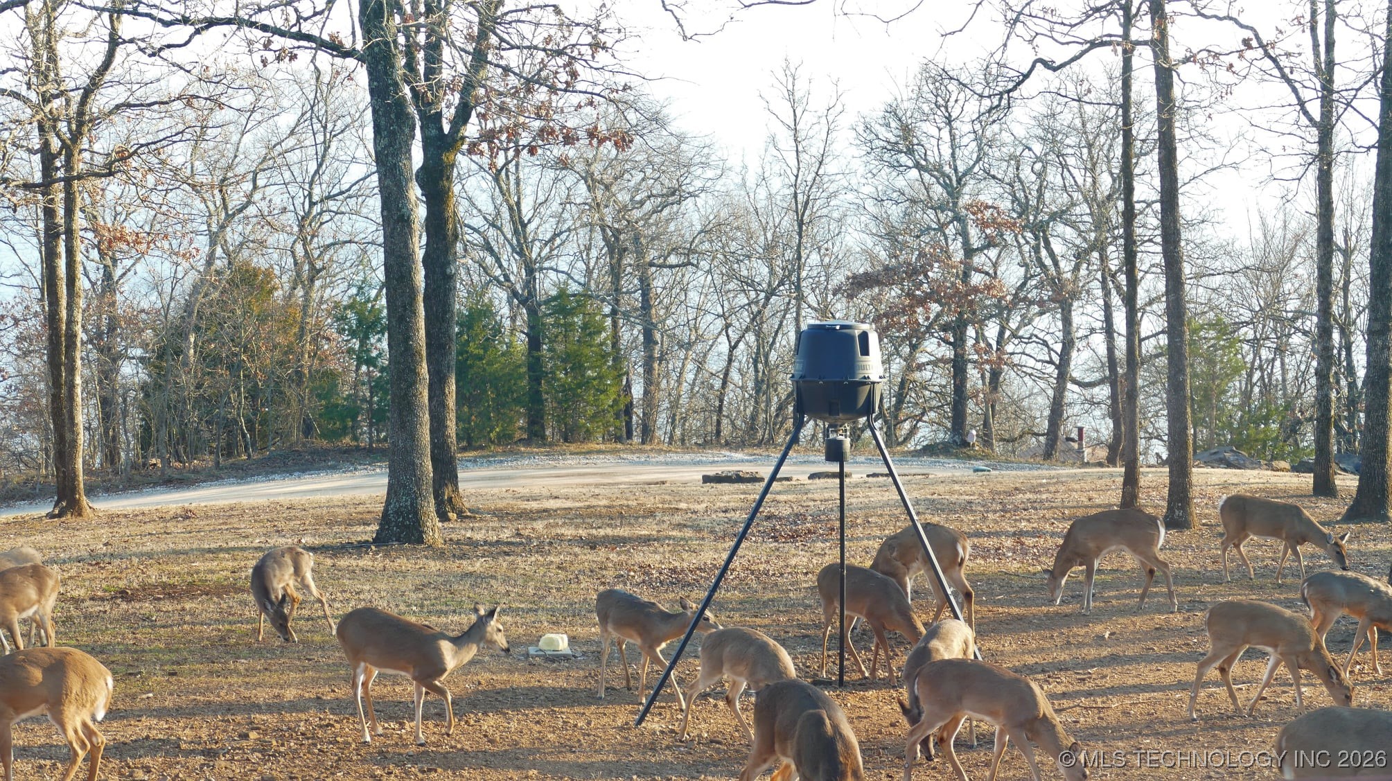 419074 E 1156 Property Photo 5