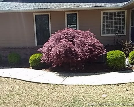 419074 E 1156 Property Photo 10