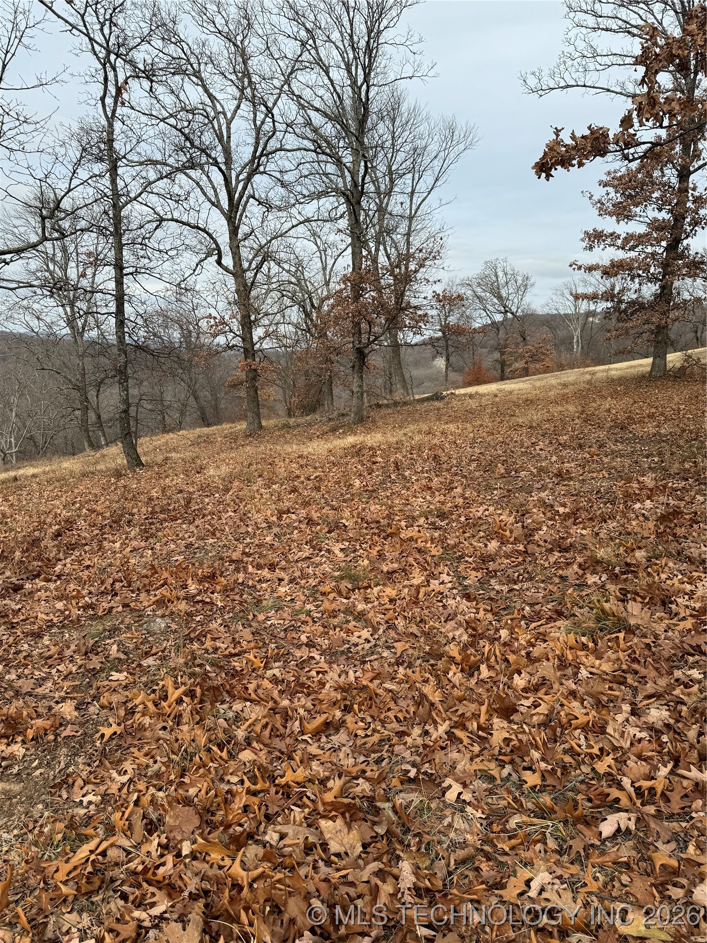 21 E Timbercrest Drive Property Photo 2