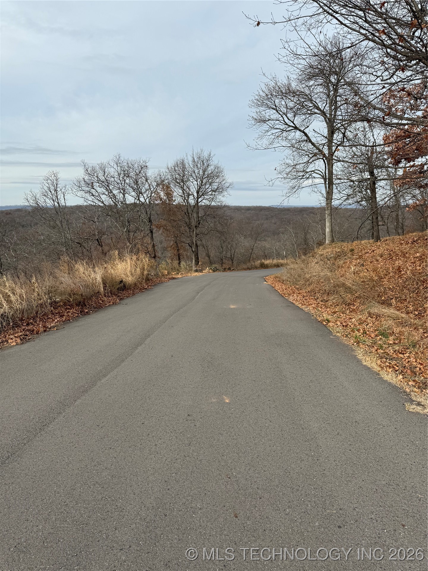 21 E Timbercrest Drive Property Photo 7