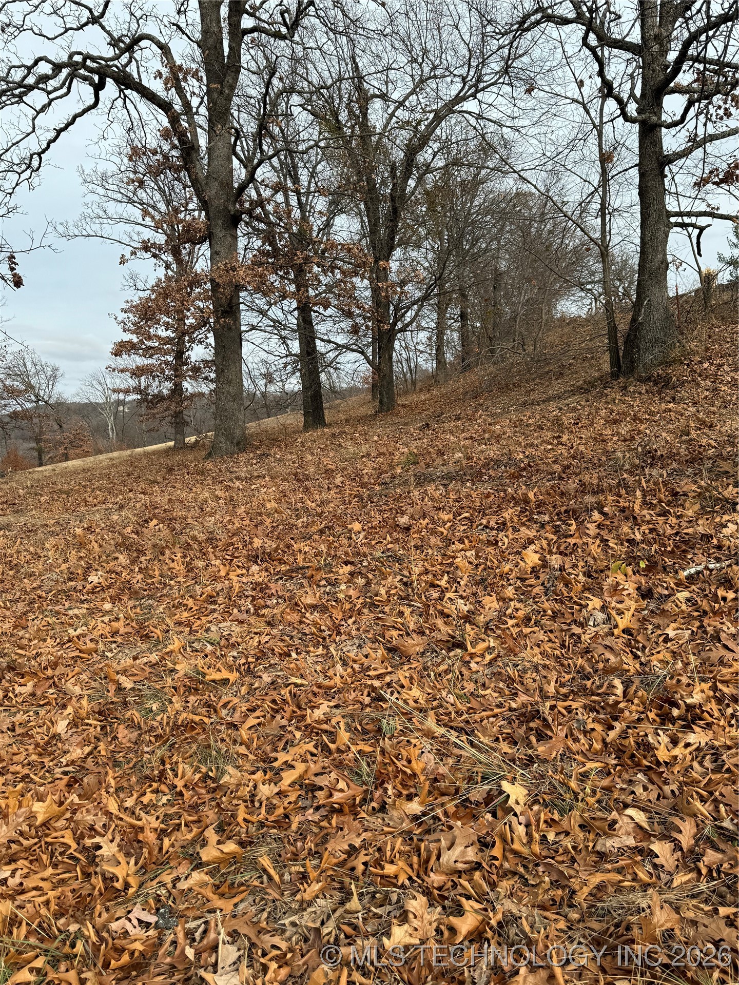 22 E Timbercrest Property Photo 5