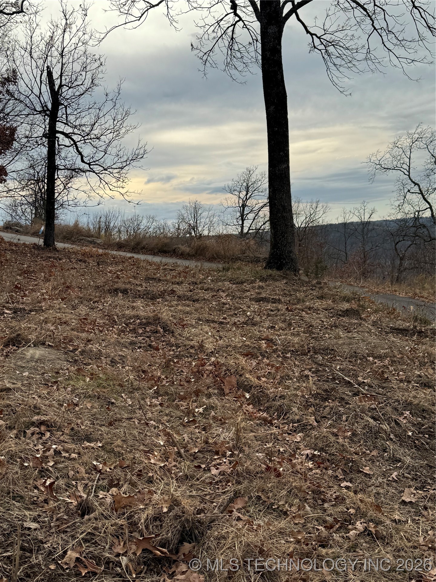 22 E Timbercrest Property Photo 8