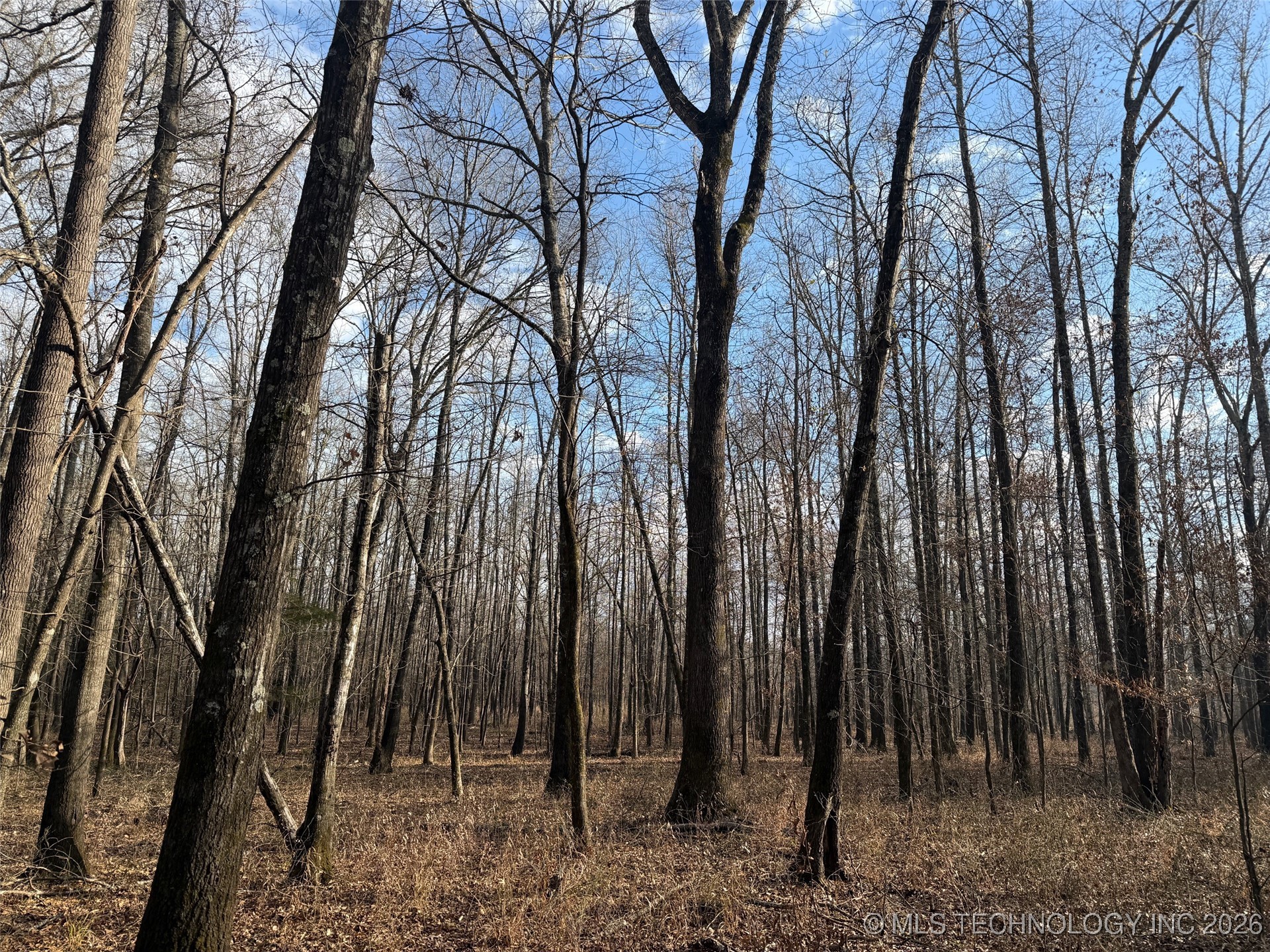 2 Pine Spur Property Photo 3