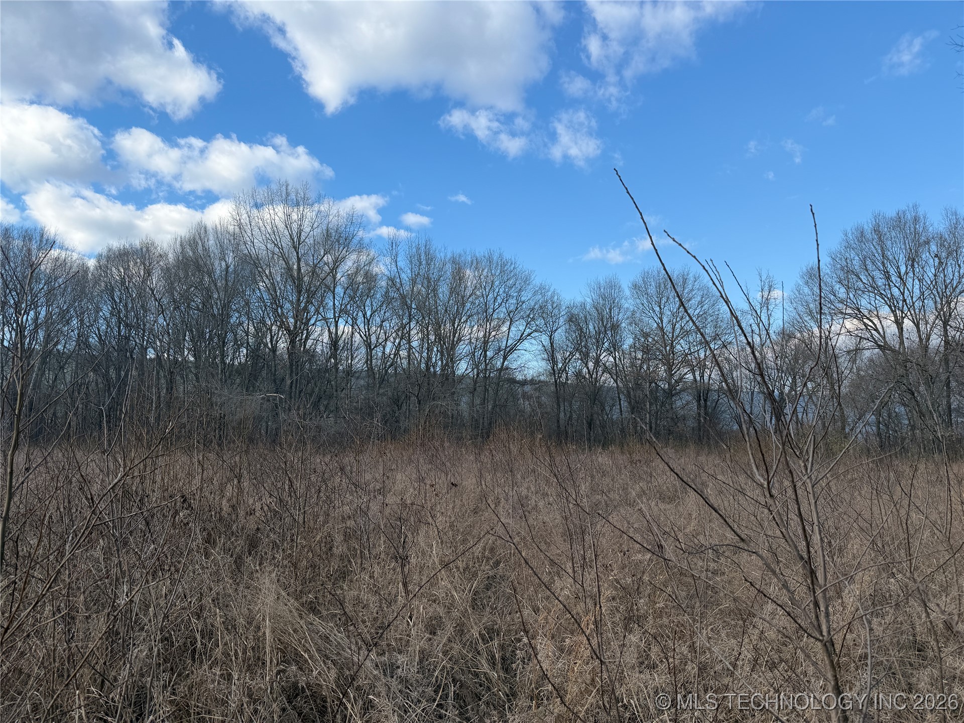 2 Pine Spur Property Photo 4