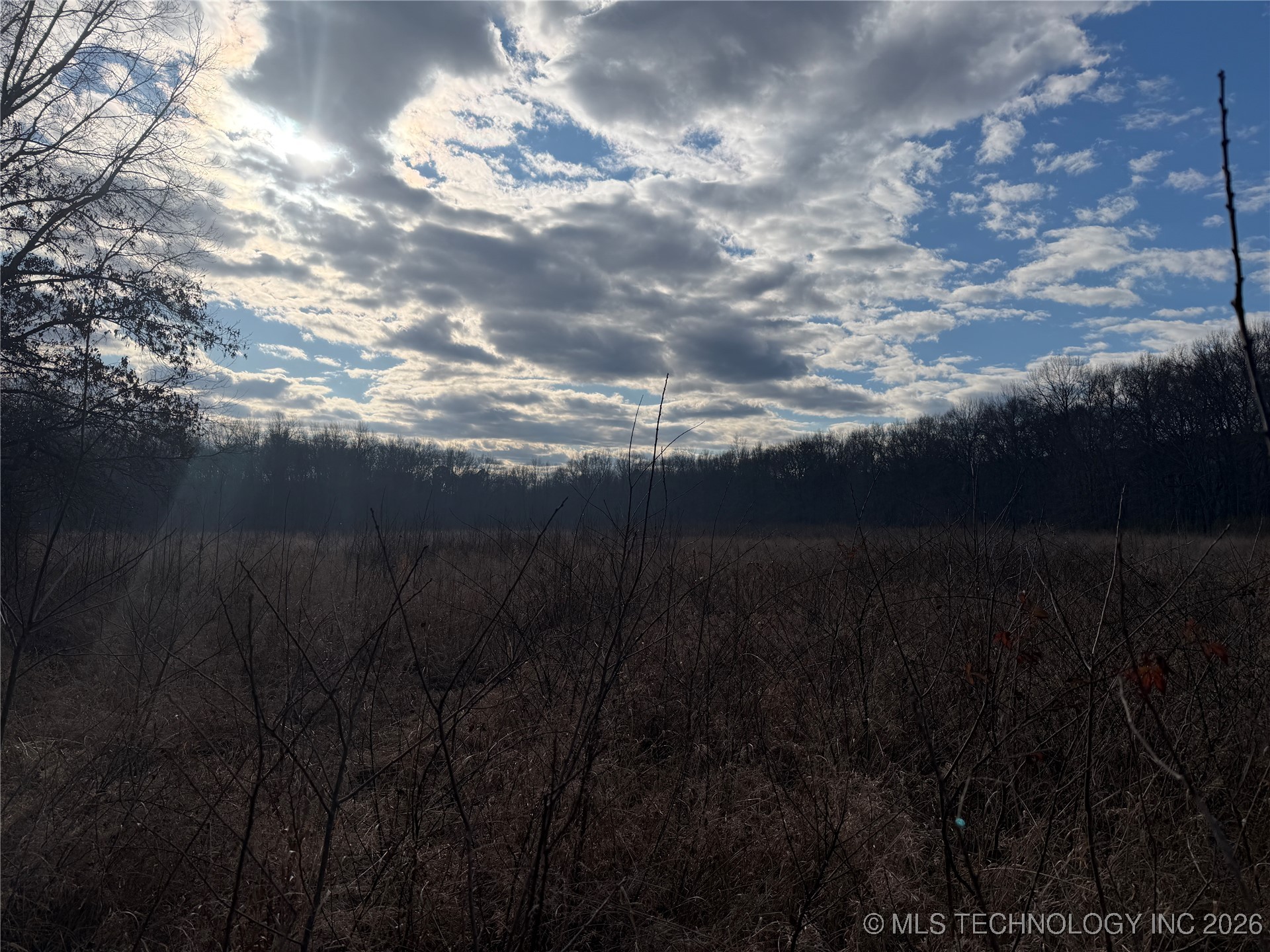 2 Pine Spur Property Photo 6