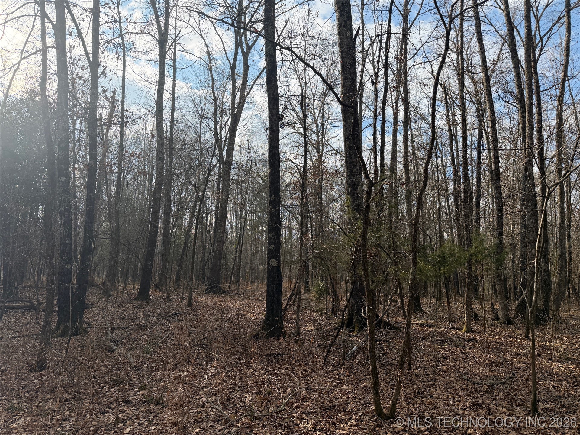 2 Pine Spur Property Photo 9