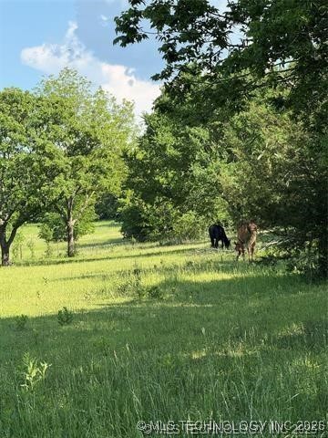 9916 E 206th Street Property Photo 24