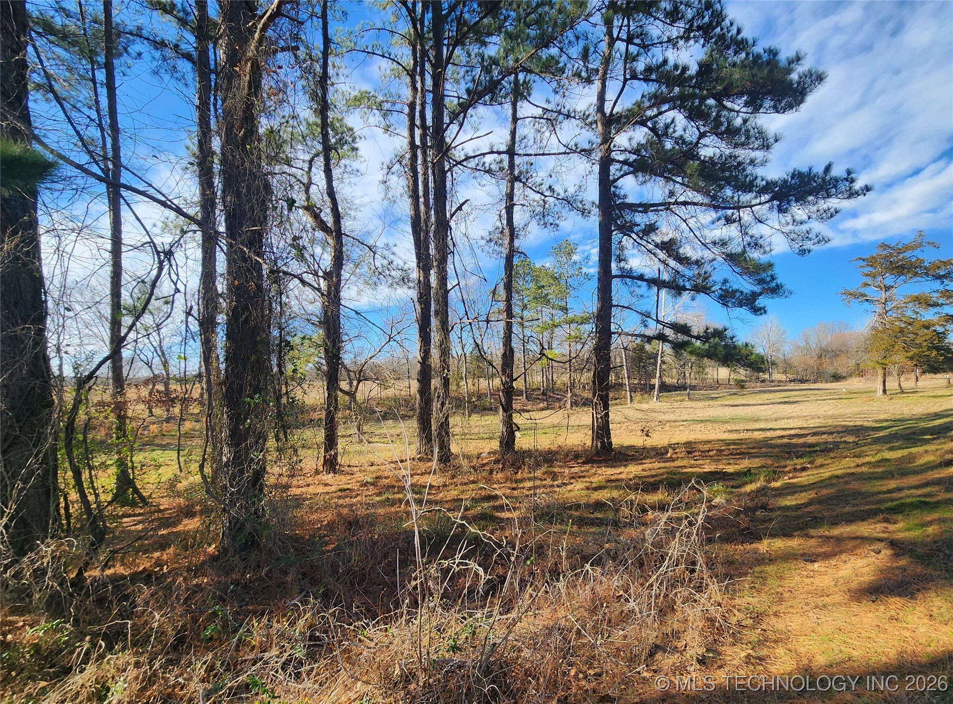 11023 S Bentley Property Photo 3