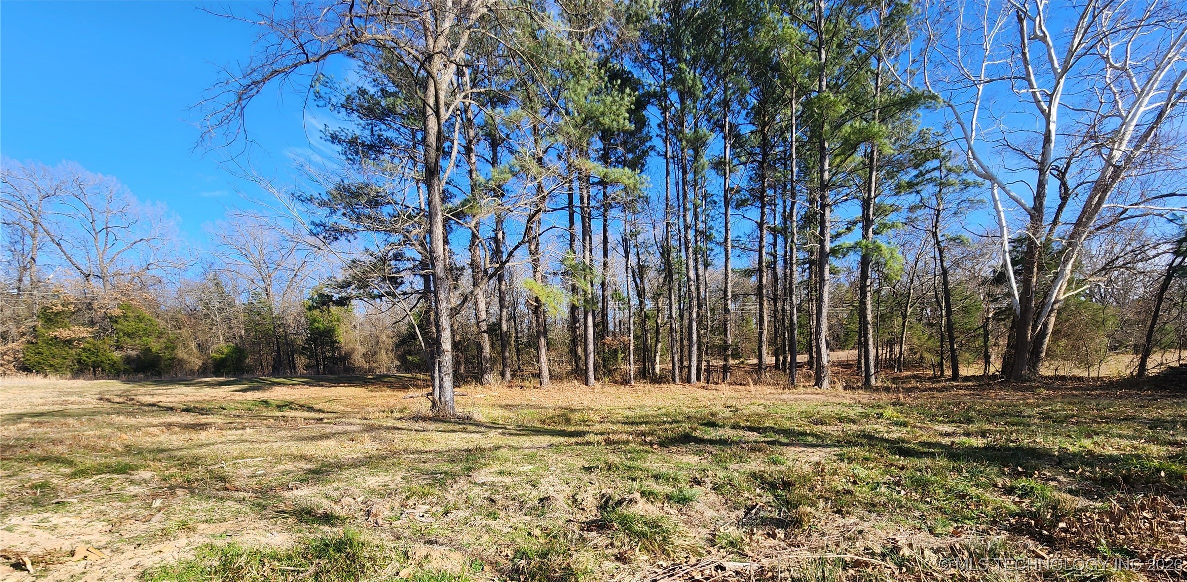 11023 S Bentley Property Photo 11