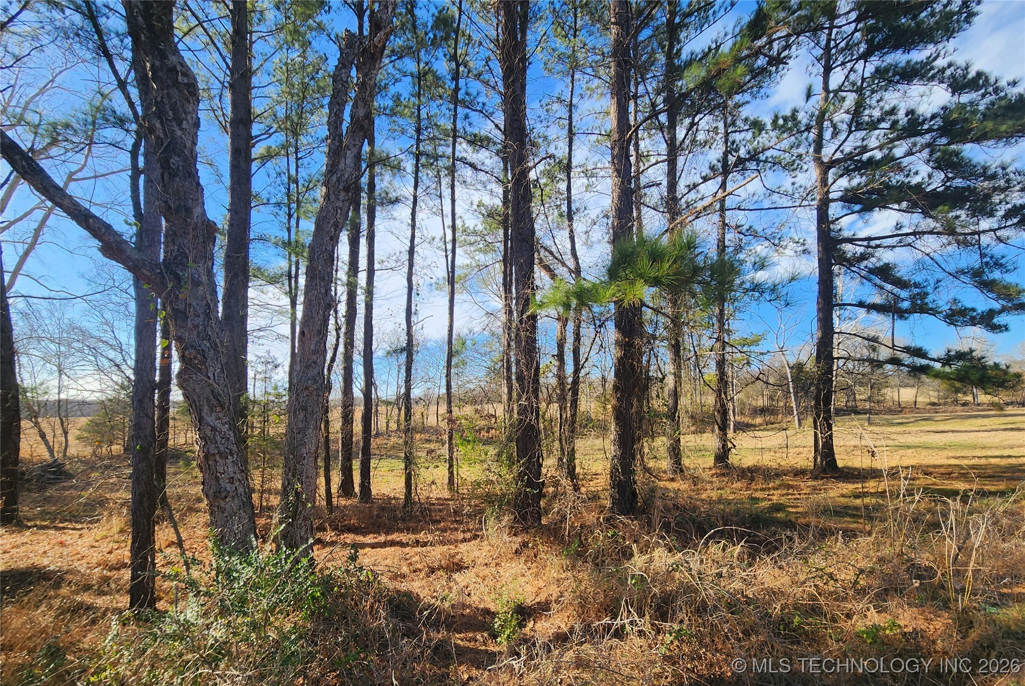 11023 S Bentley Property Photo 13