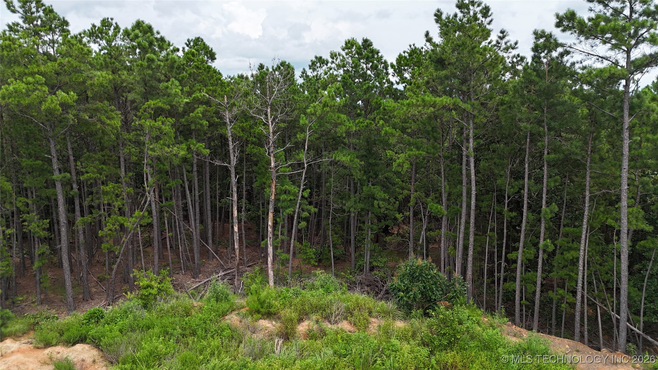 31096 S Tucker Knob Property Photo 5