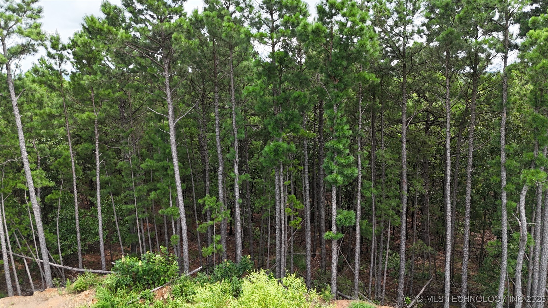 31096 S Tucker Knob Property Photo 6