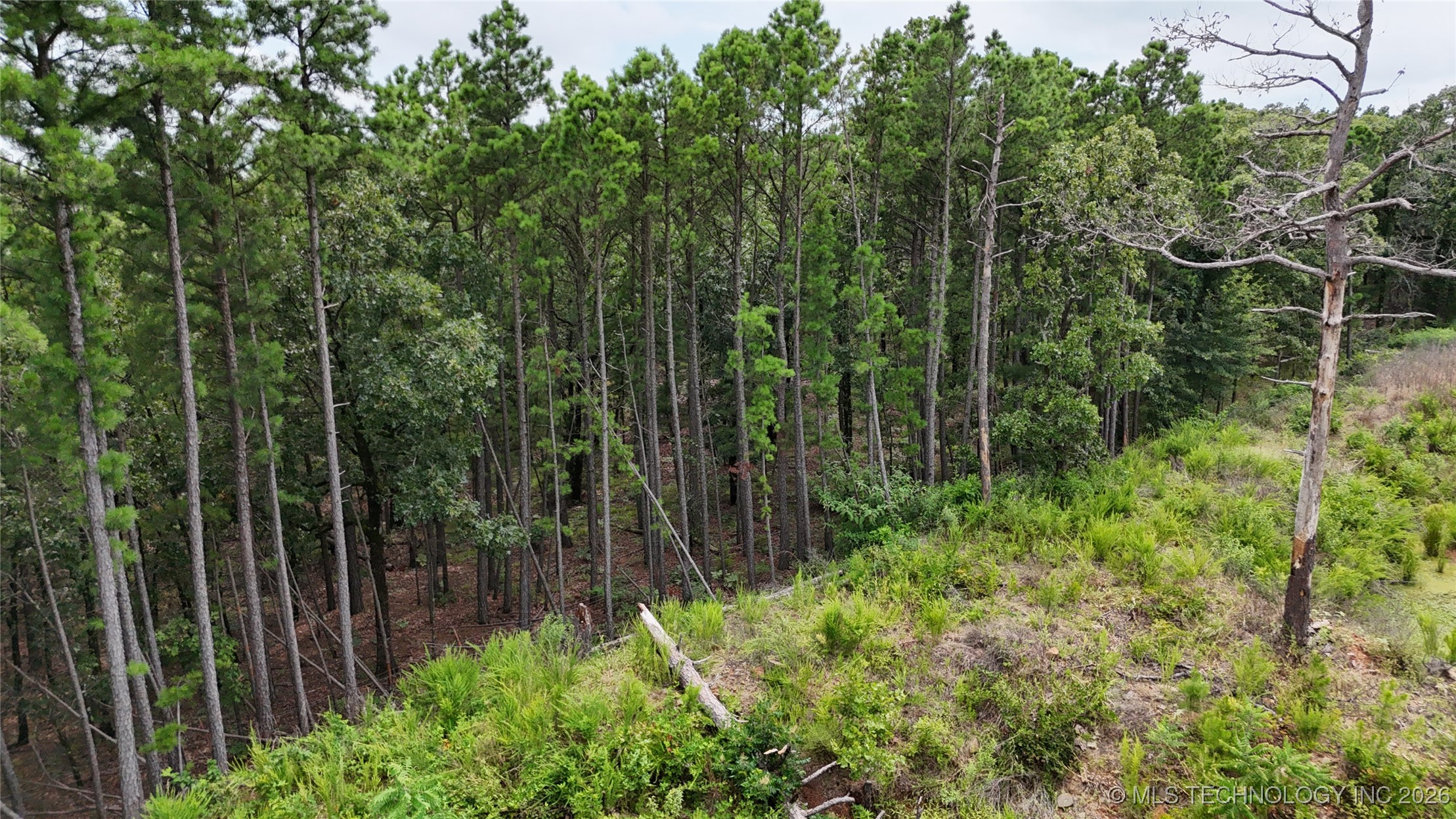 31096 S Tucker Knob Property Photo 7