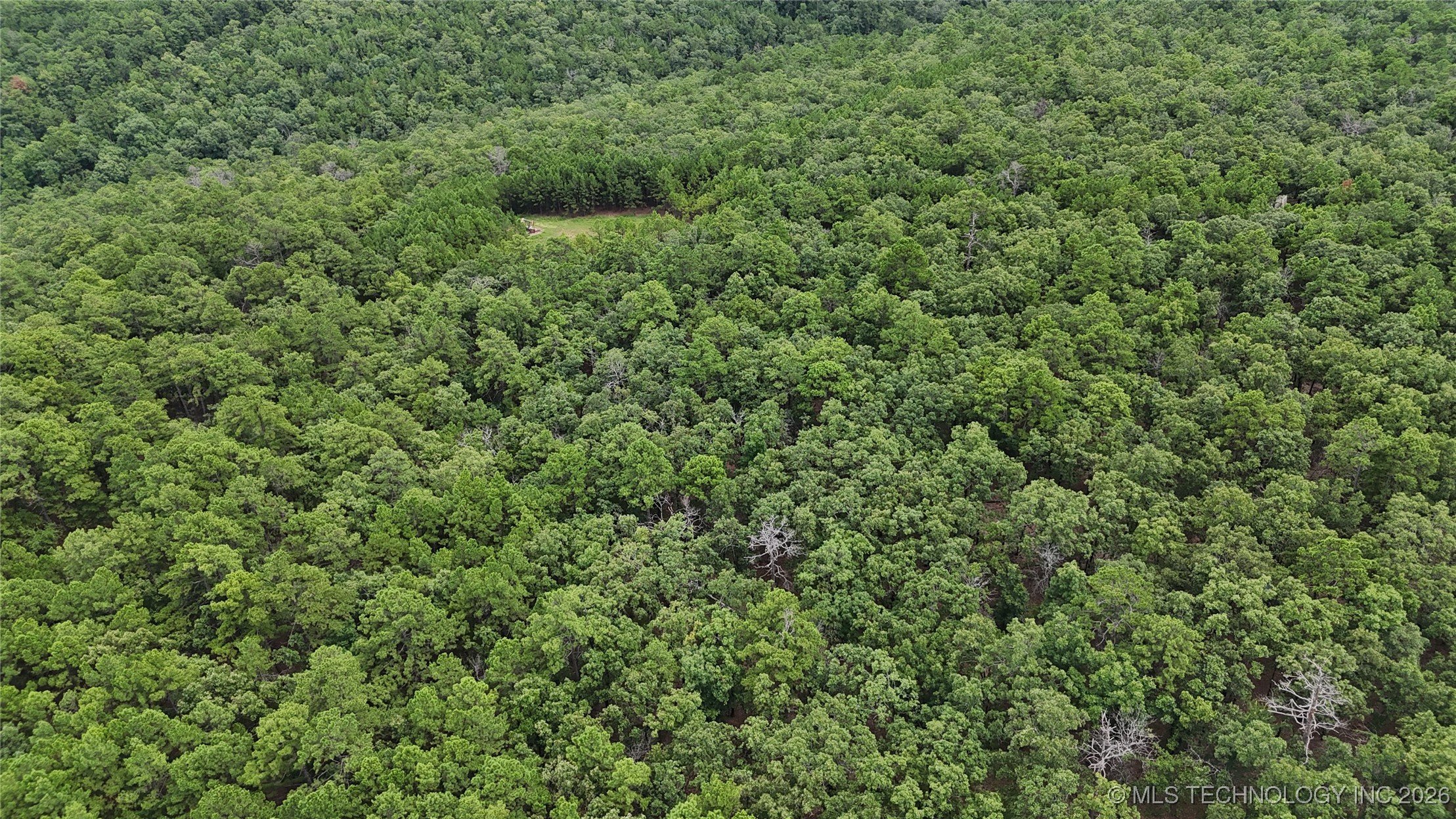 31096 S Tucker Knob Property Photo 8