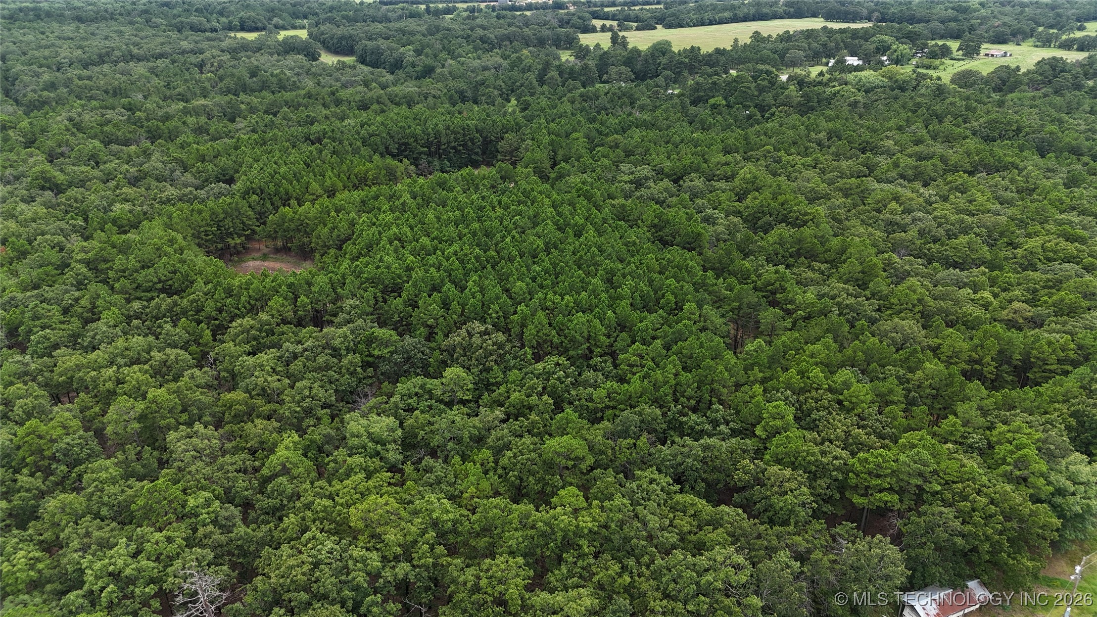 31096 S Tucker Knob Property Photo 9