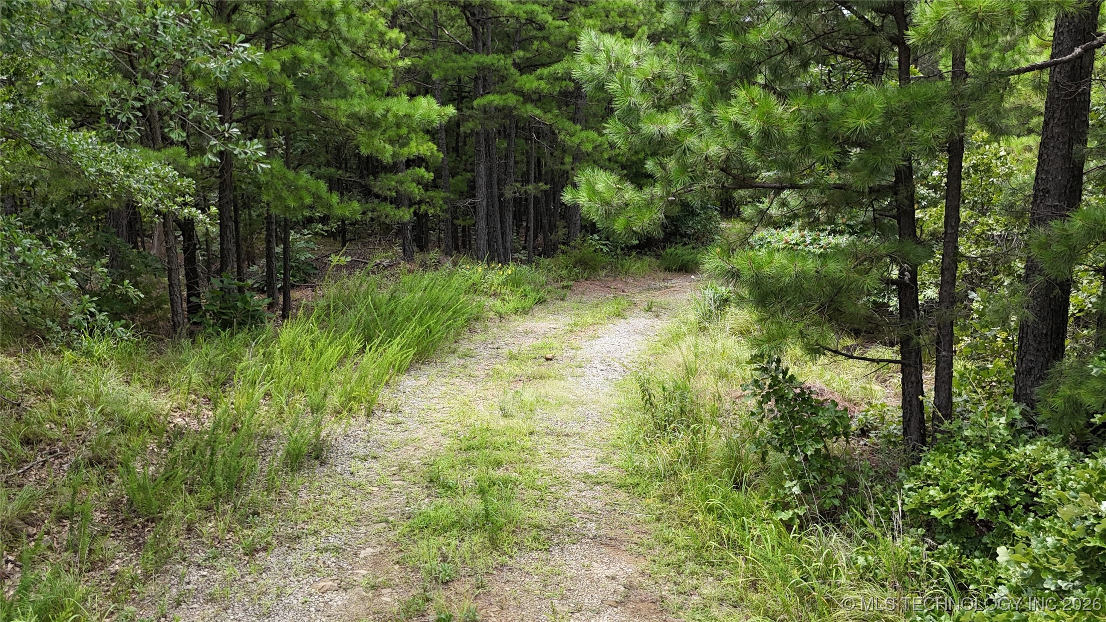 31096 S Tucker Knob Property Photo 11