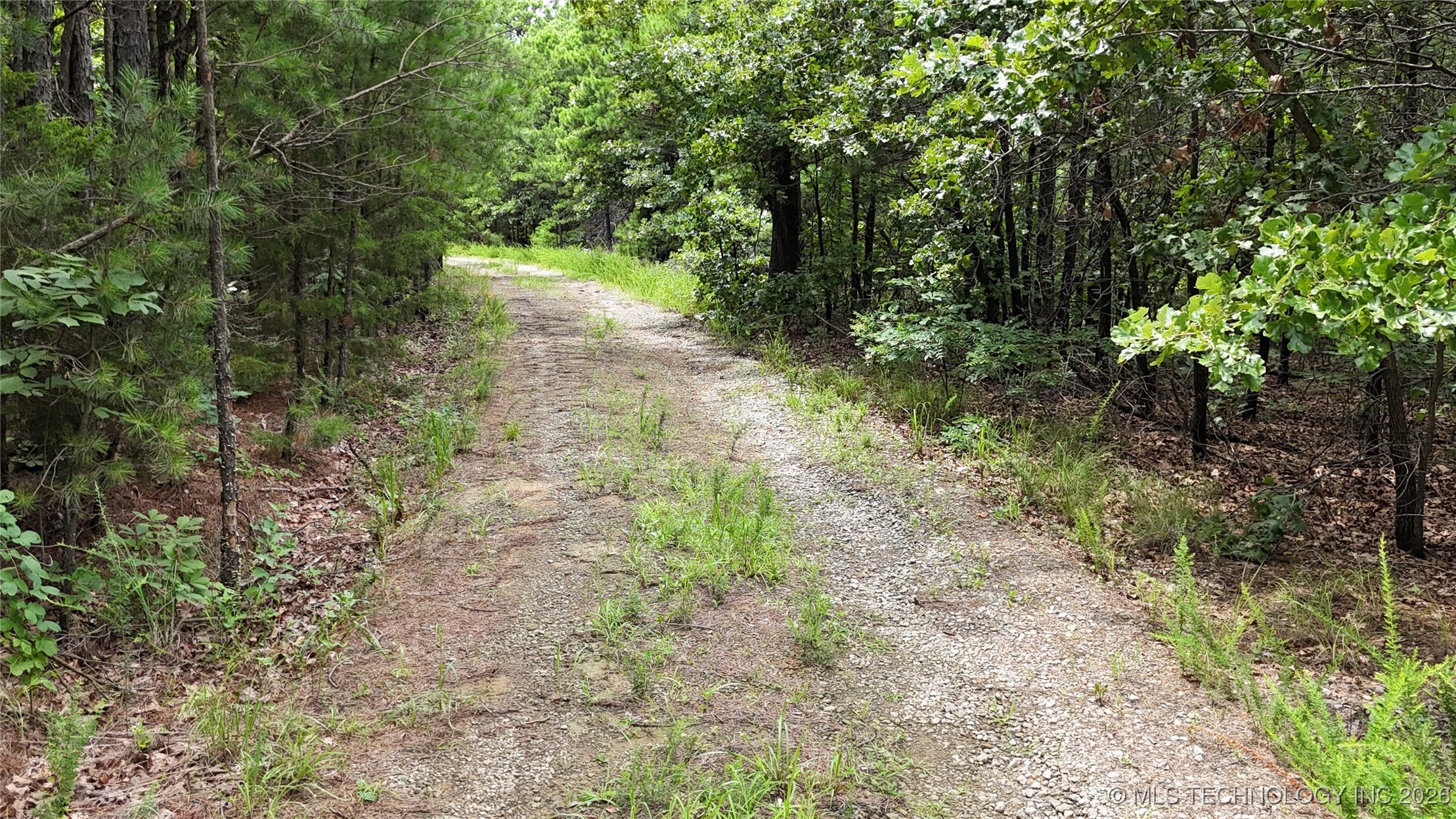 31096 S Tucker Knob Property Photo 12