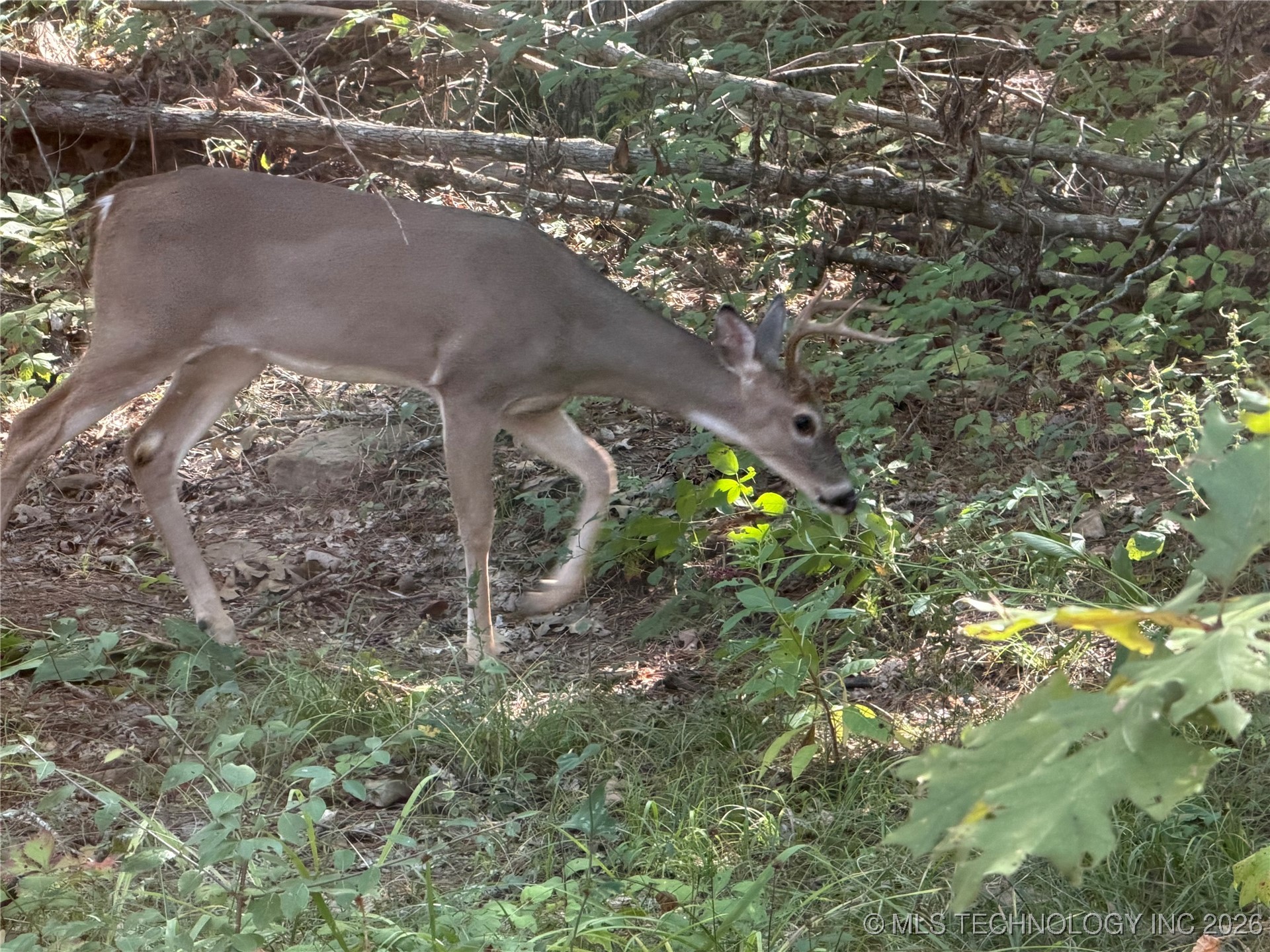 4 Goats Bluff Road Property Photo 2