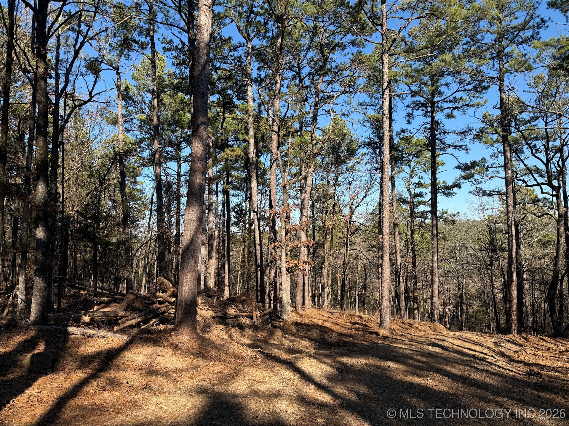 4 Goats Bluff Road Property Photo 3