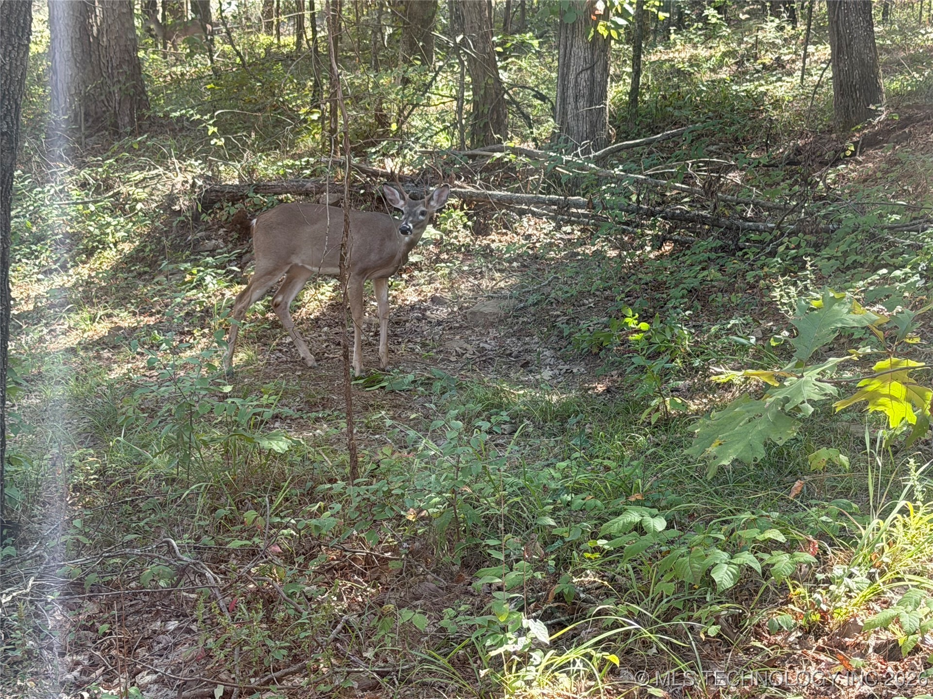 4 Goats Bluff Road Property Photo 12