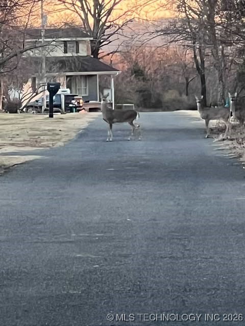 70159 S 336 Road Property Photo 34