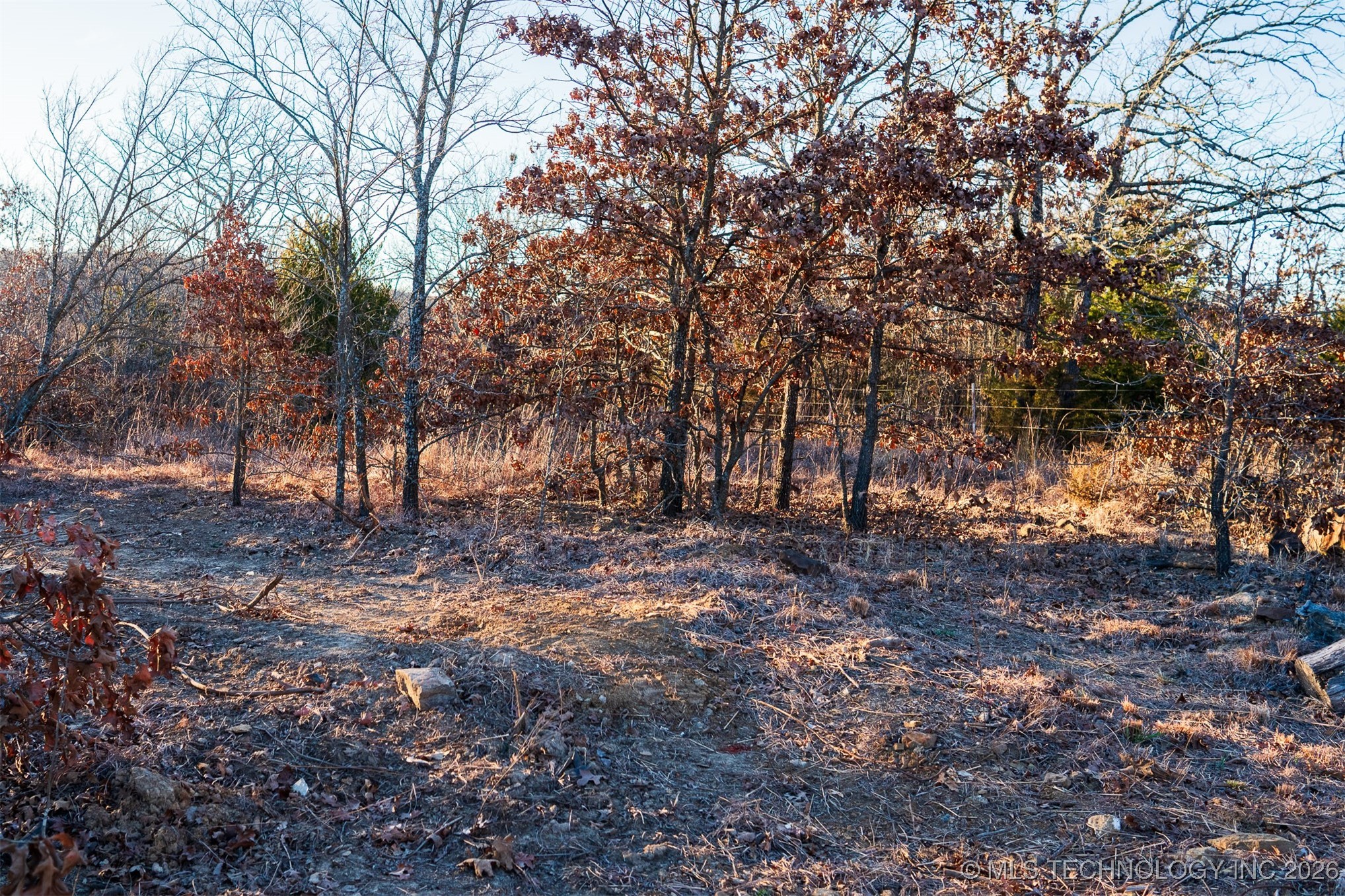 5 N 131 Road Property Photo 30