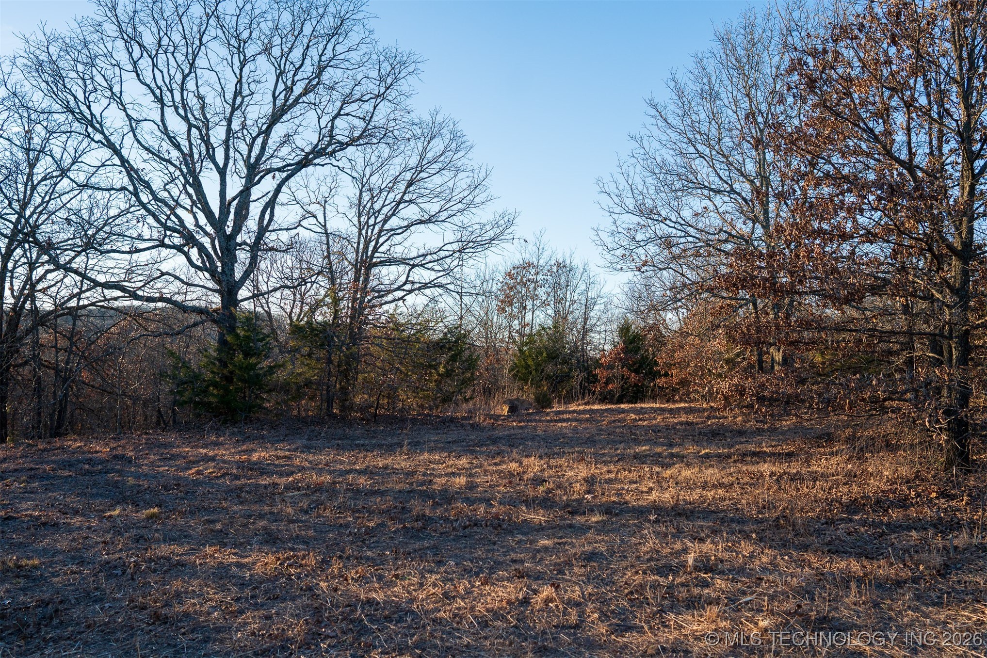 5 N 131 Road Property Photo 33