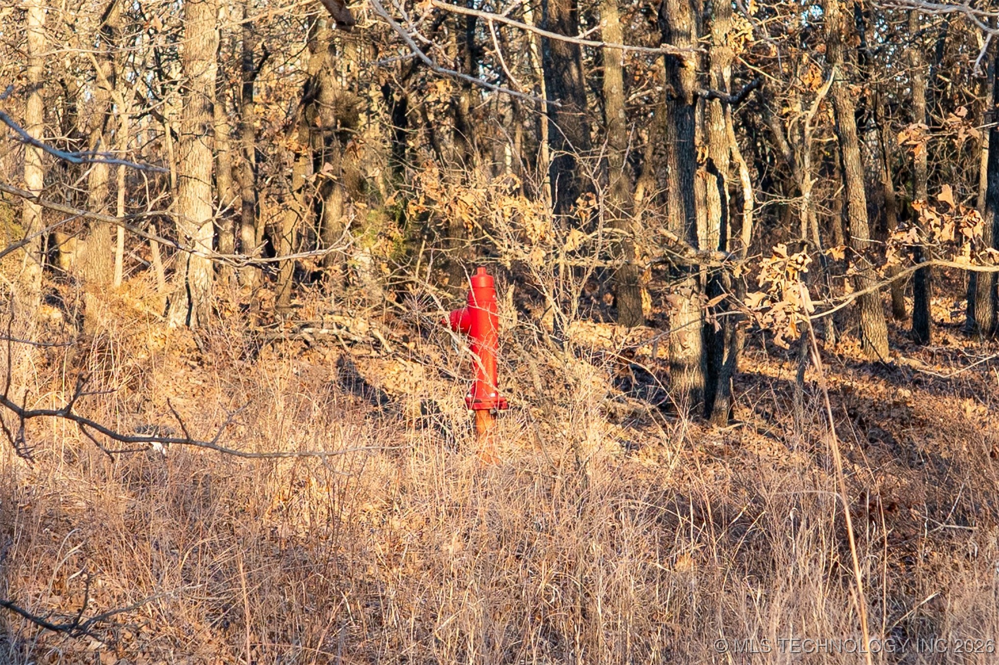 5 N 131 Road Property Photo 41