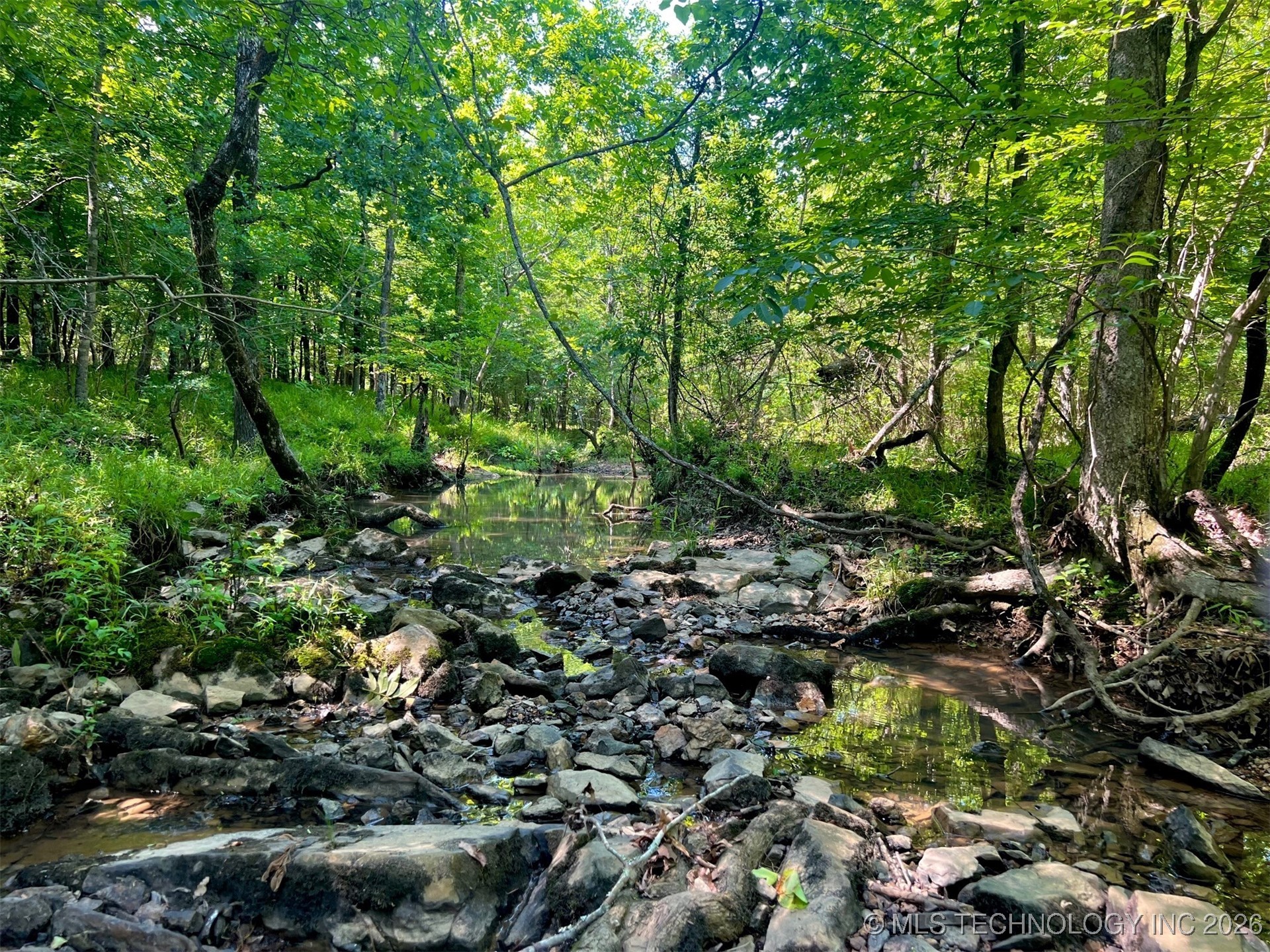 0004 Three Creeks Road Property Photo 4