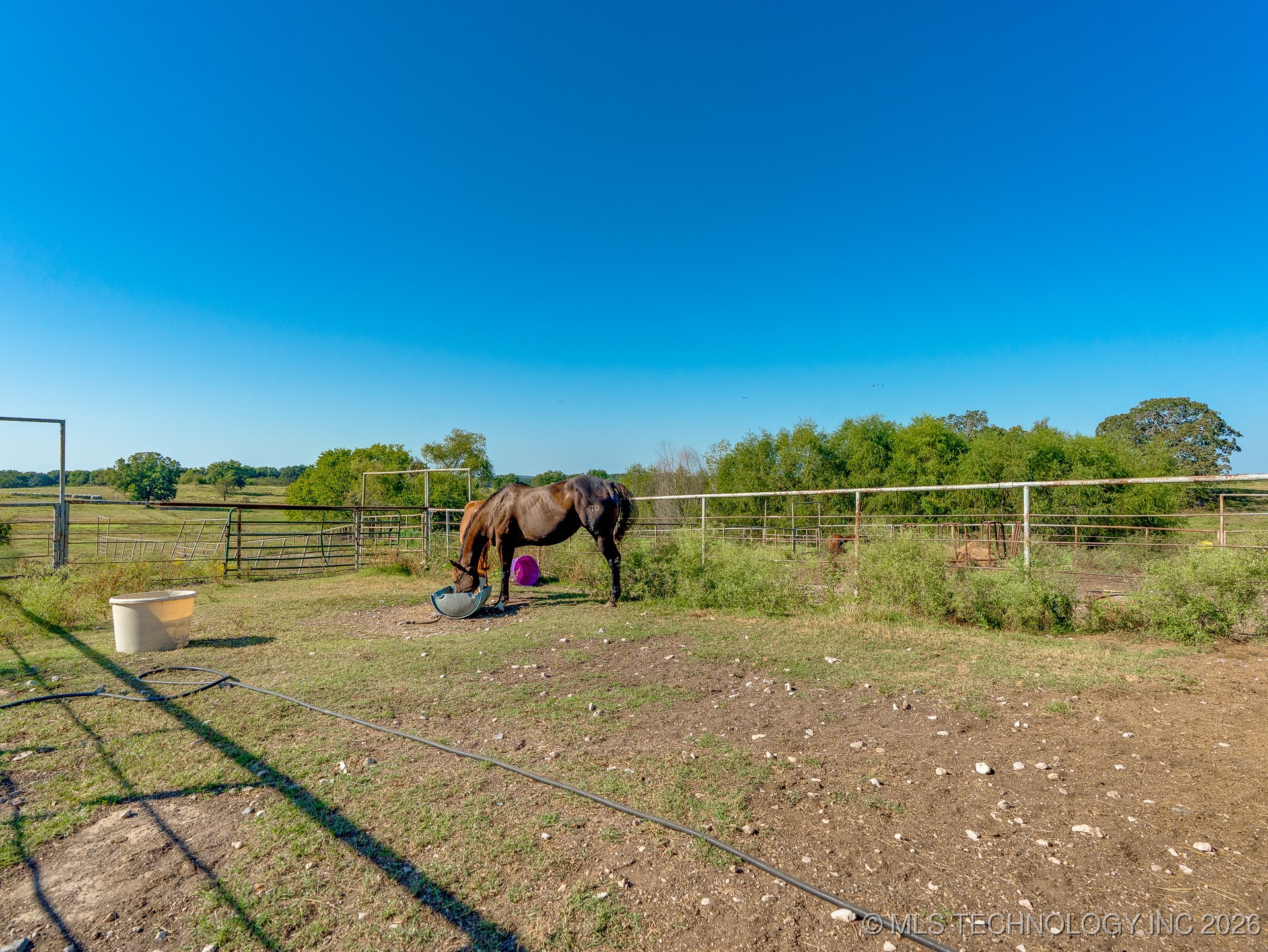 36885 County Road 1670 Property Photo 48