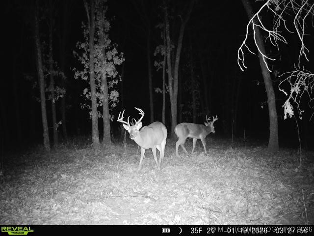 13020 N 364 Road Property Photo 98