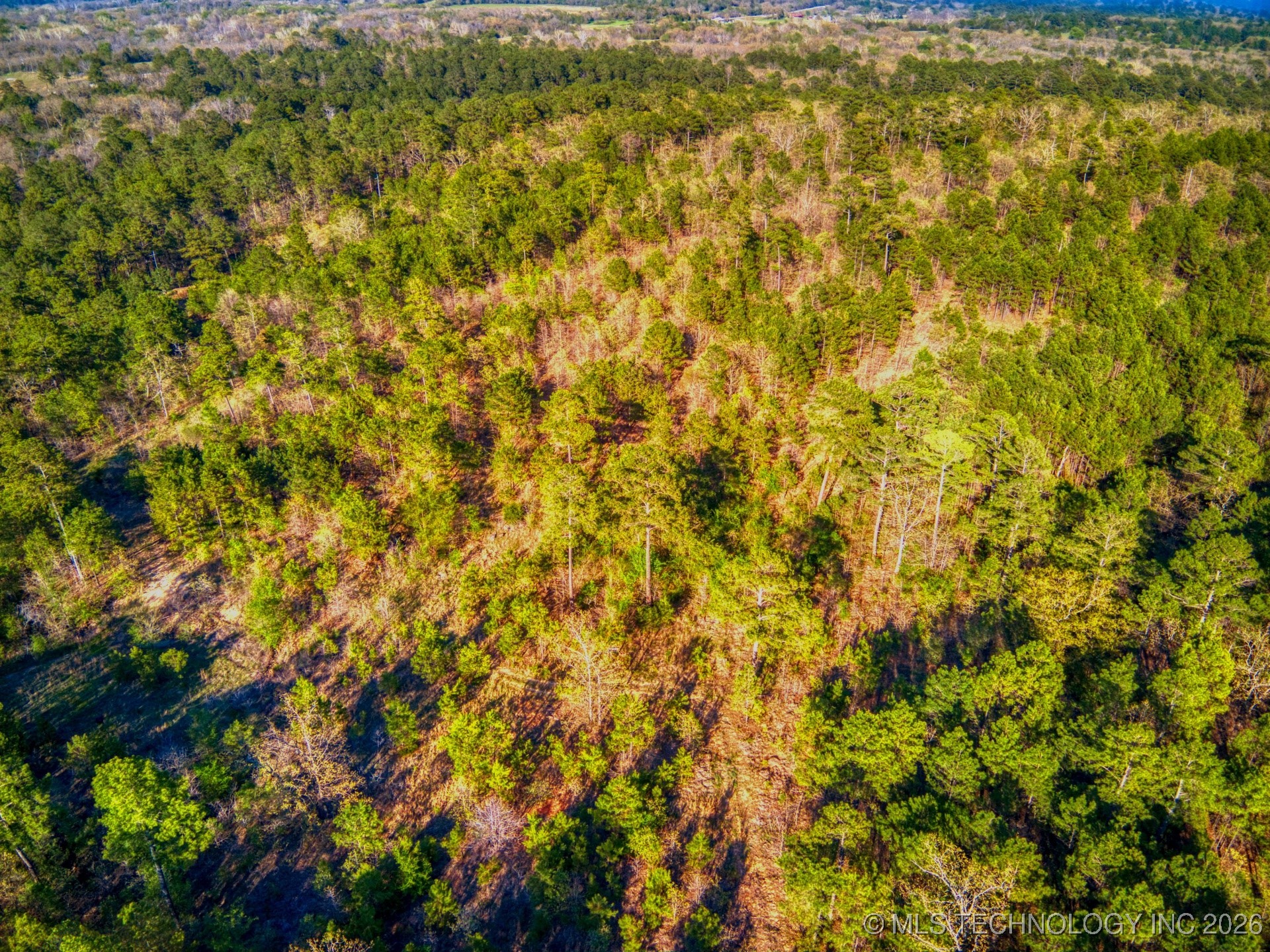 County Road 3885 Property Photo 5