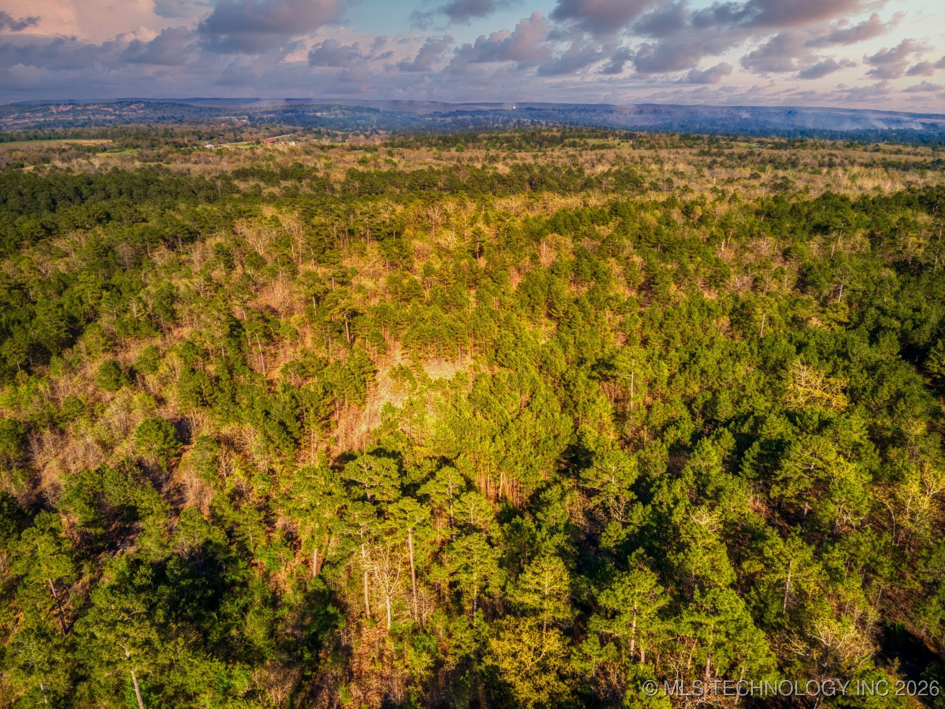County Road 3885 Property Photo 6