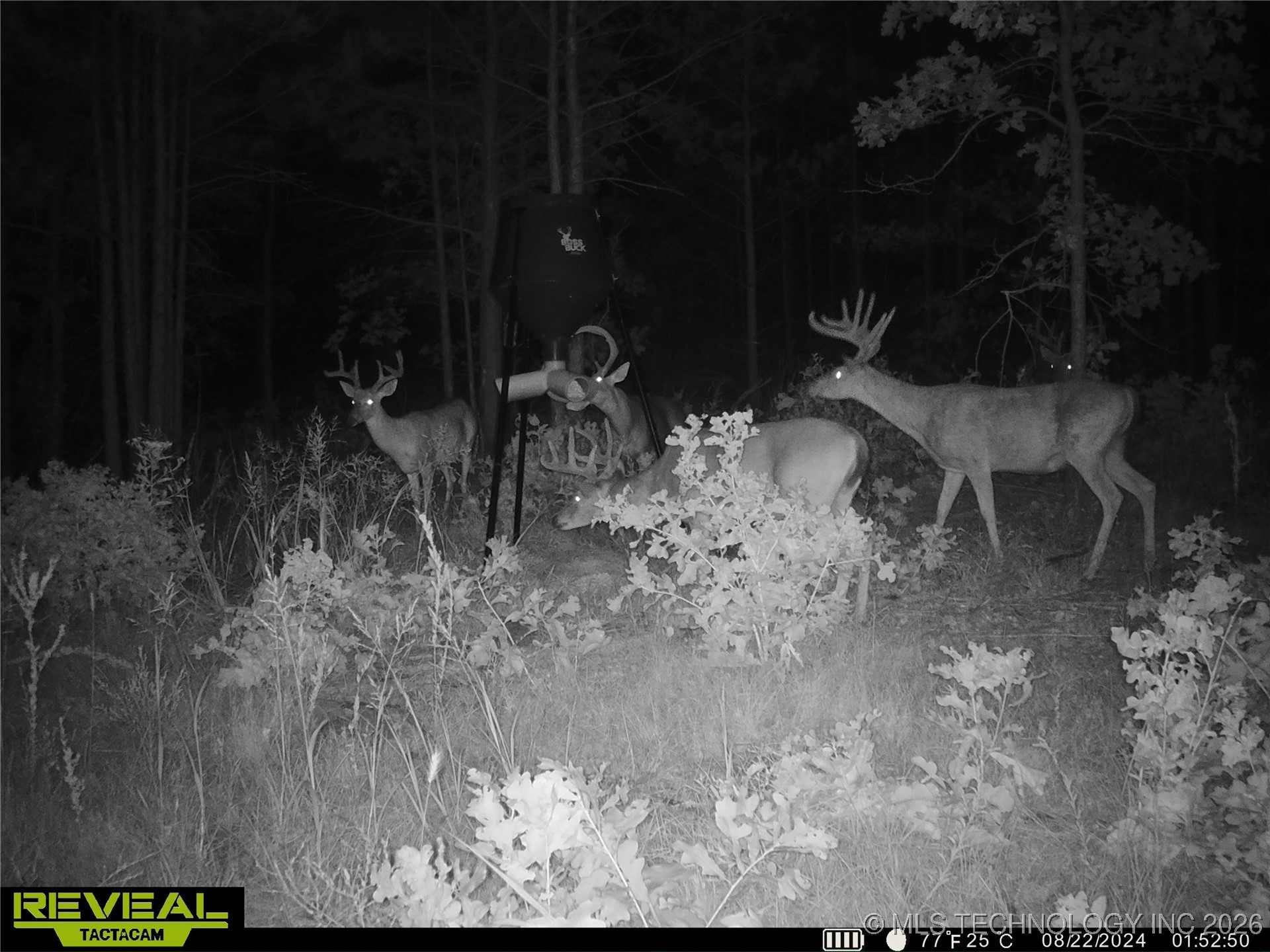 County Road 3885 Property Photo 8