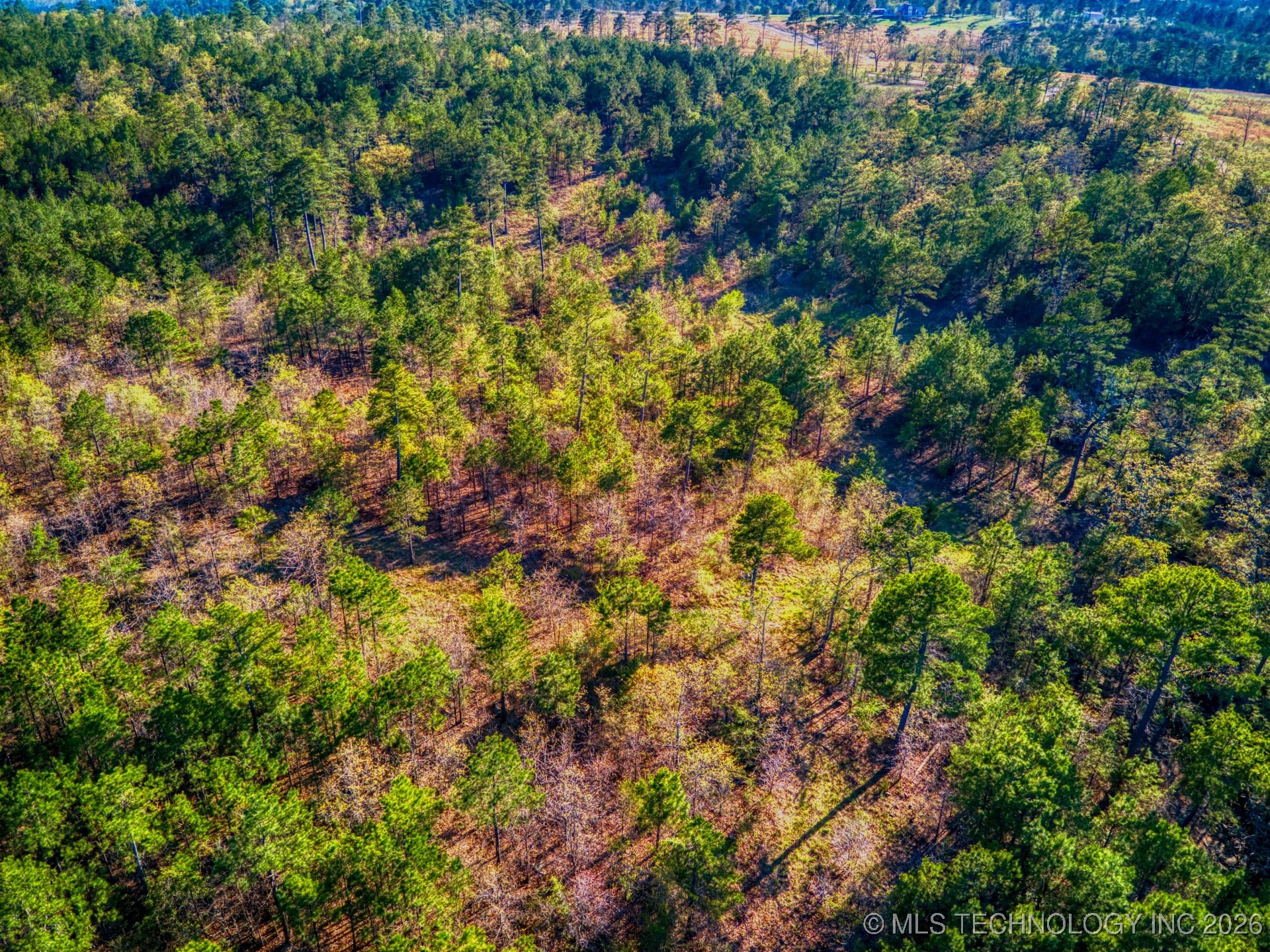 County Road 3885 Property Photo 12