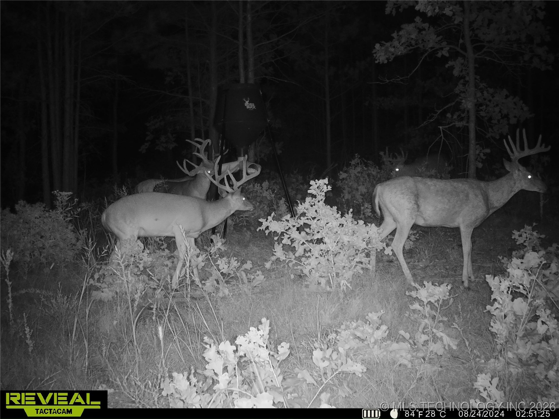 County Road 3885 Property Photo 13