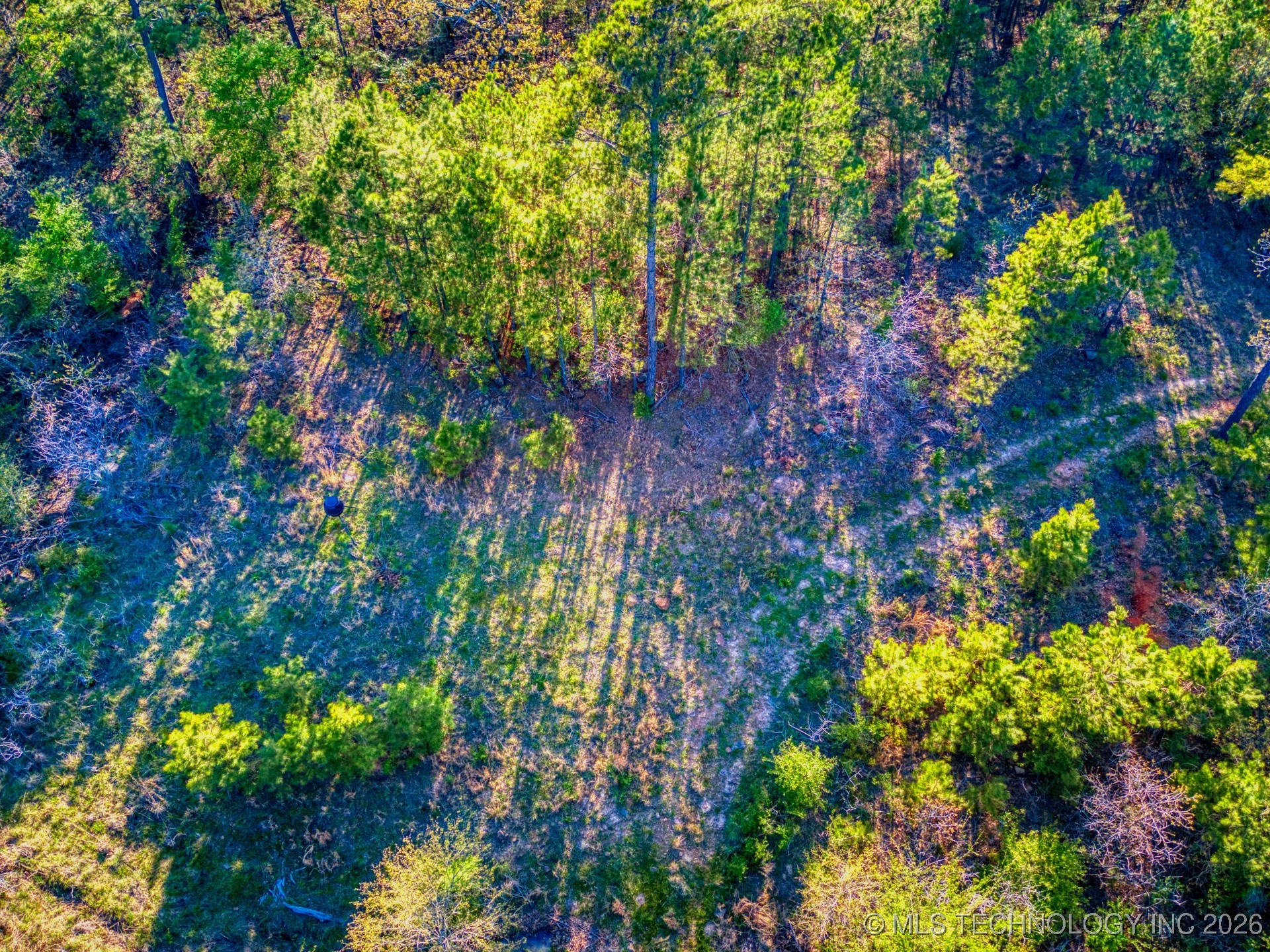 County Road 3885 Property Photo 14