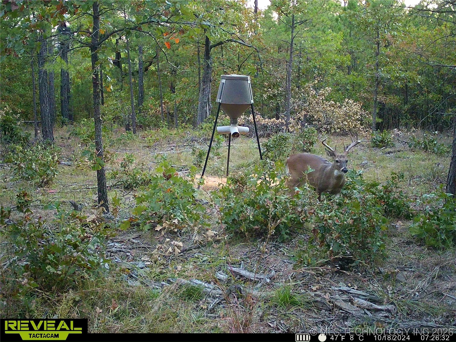 County Road 3885 Property Photo 15