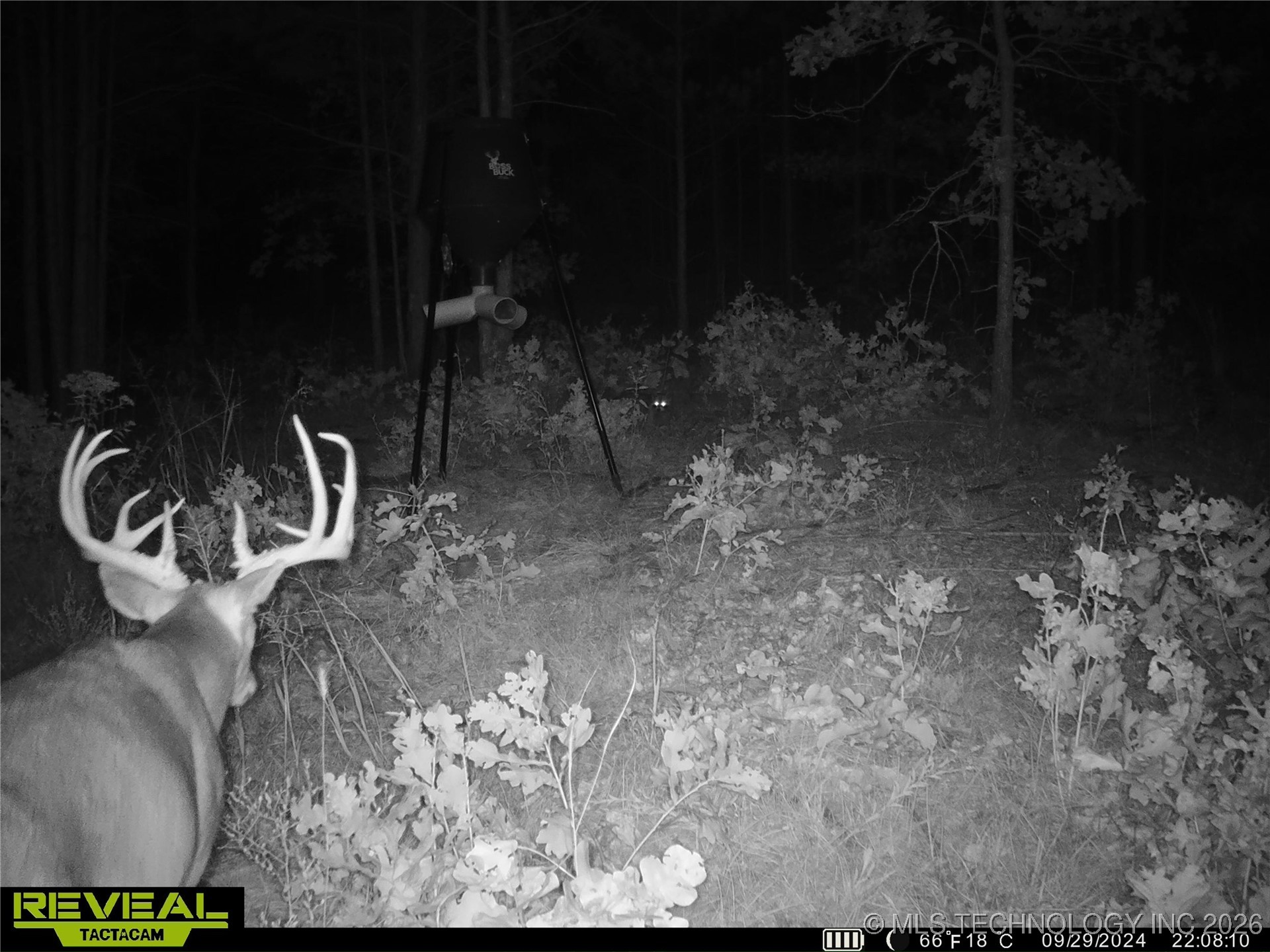 County Road 3885 Property Photo 16