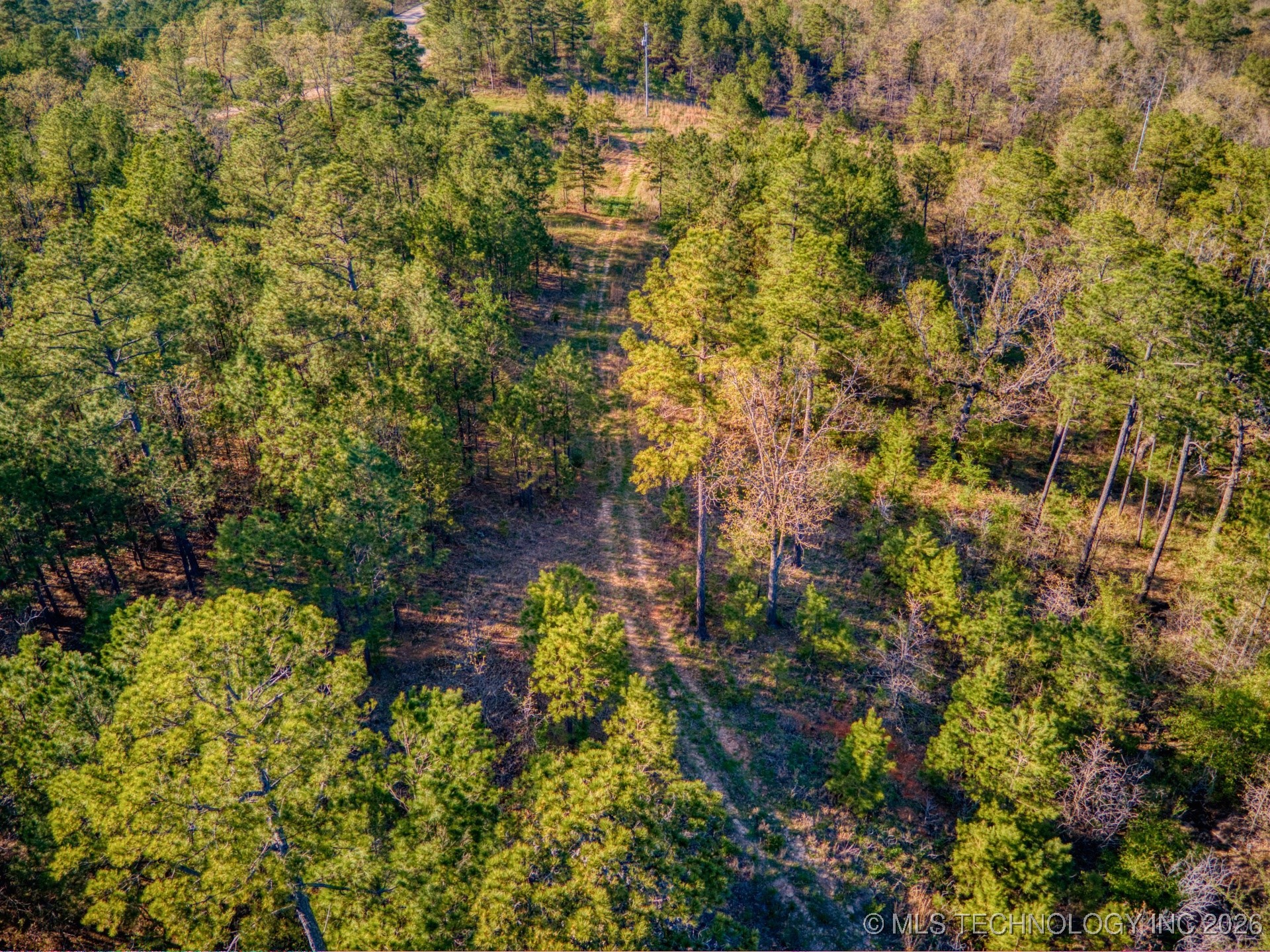 County Road 3885 Property Photo 17