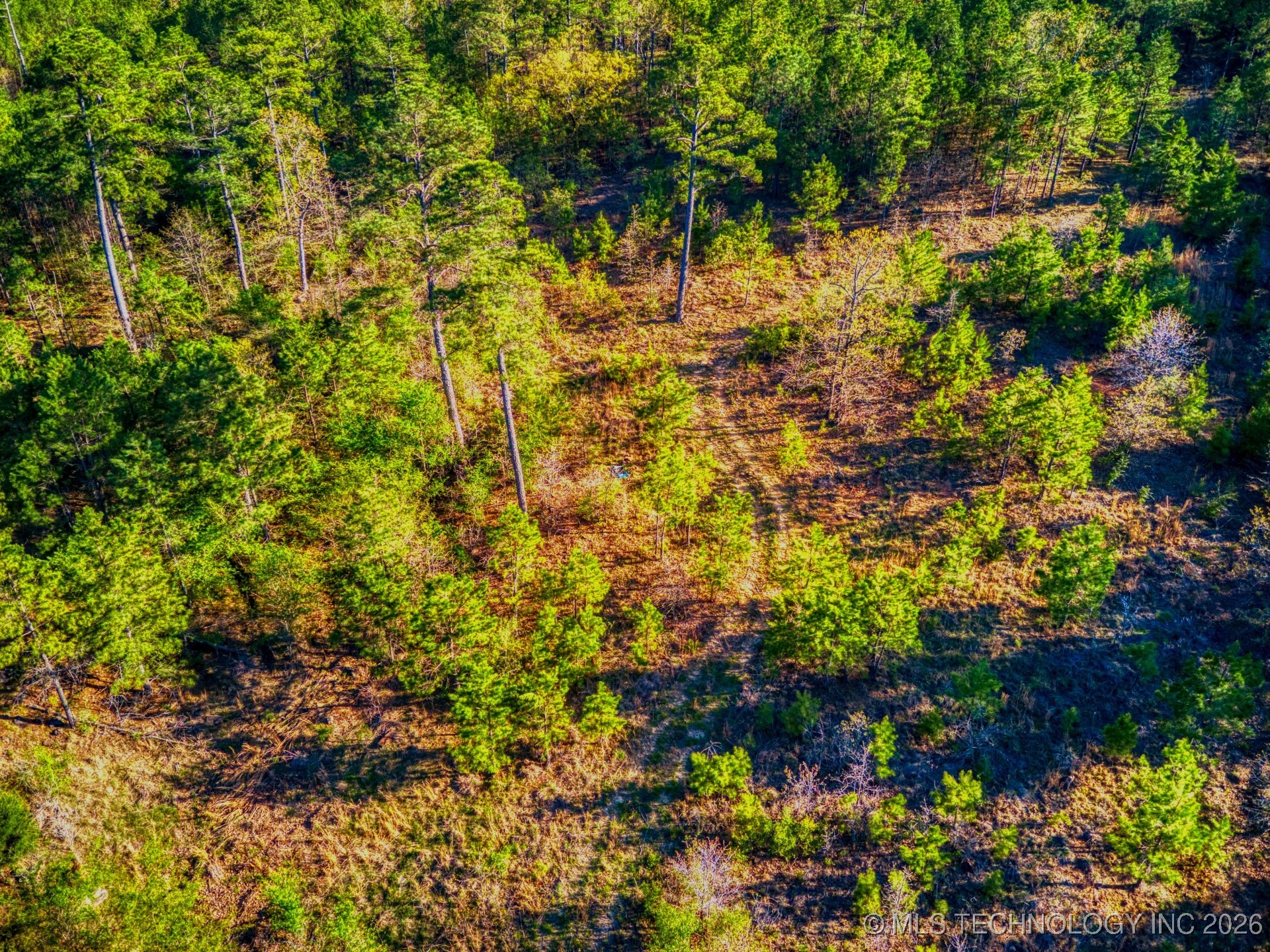 County Road 3885 Property Photo 18