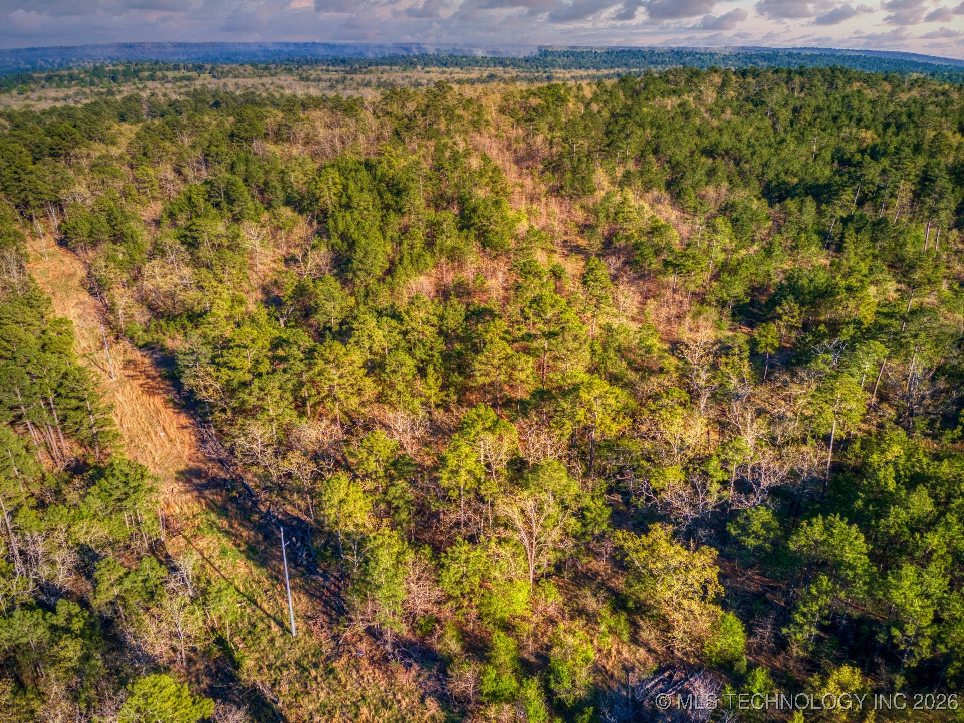 County Road 3885 Property Photo 23