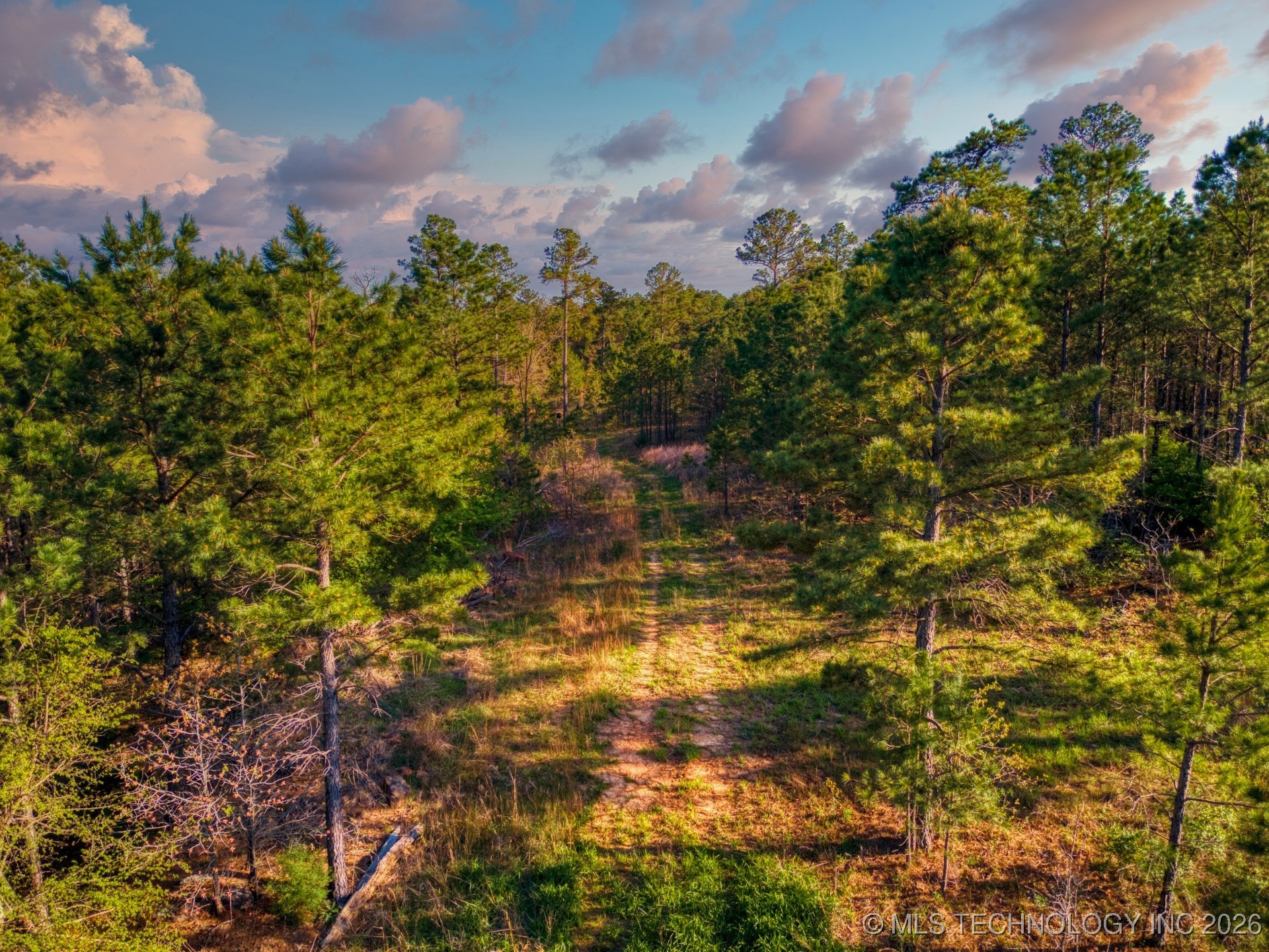 County Road 3885 Property Photo 24