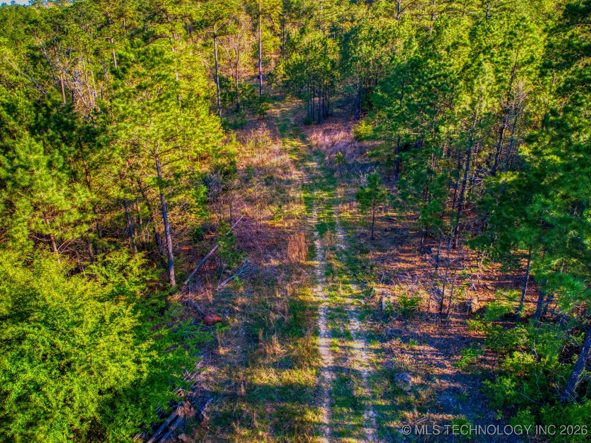 County Road 3885 Property Photo 25