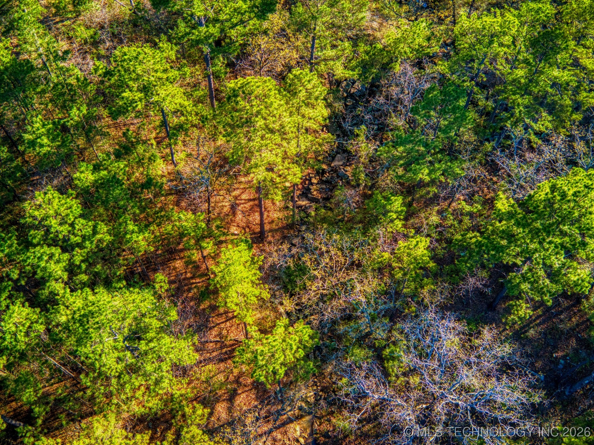 County Road 3885 Property Photo 27