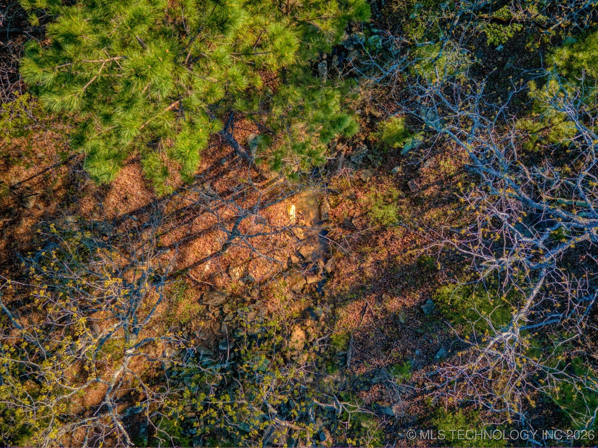 County Road 3885 Property Photo 28