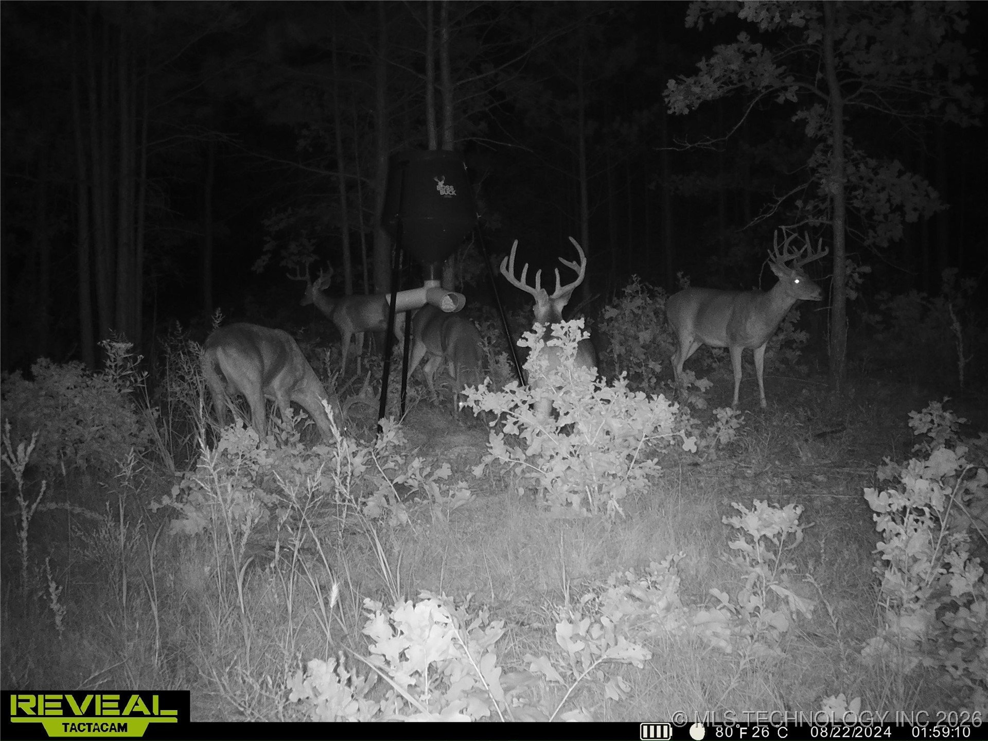 County Road 3885 Property Photo 29