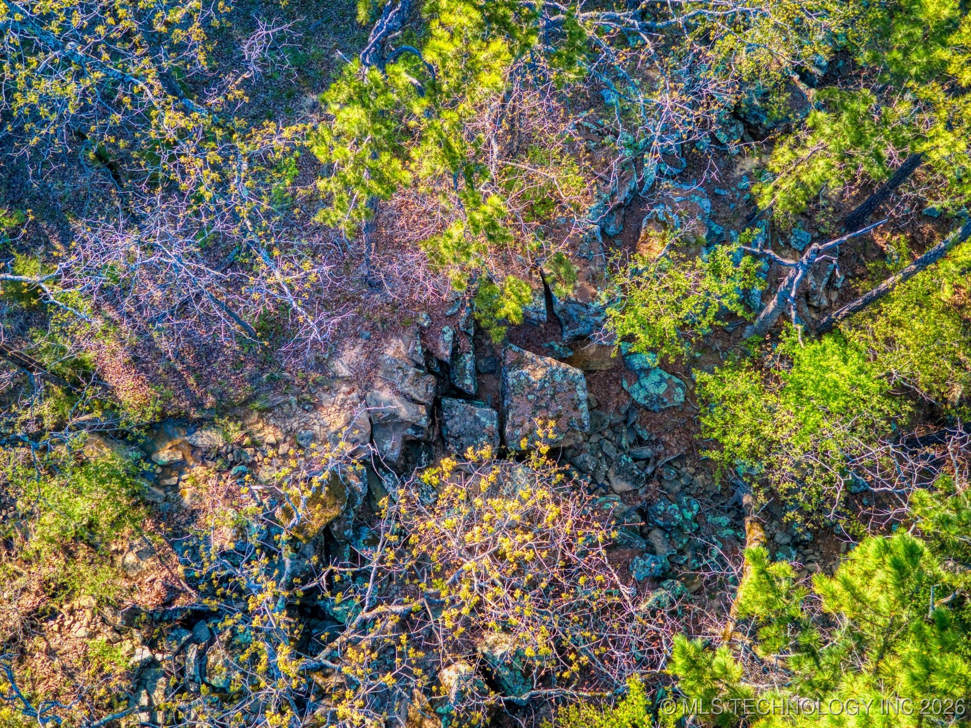 County Road 3885 Property Photo 30