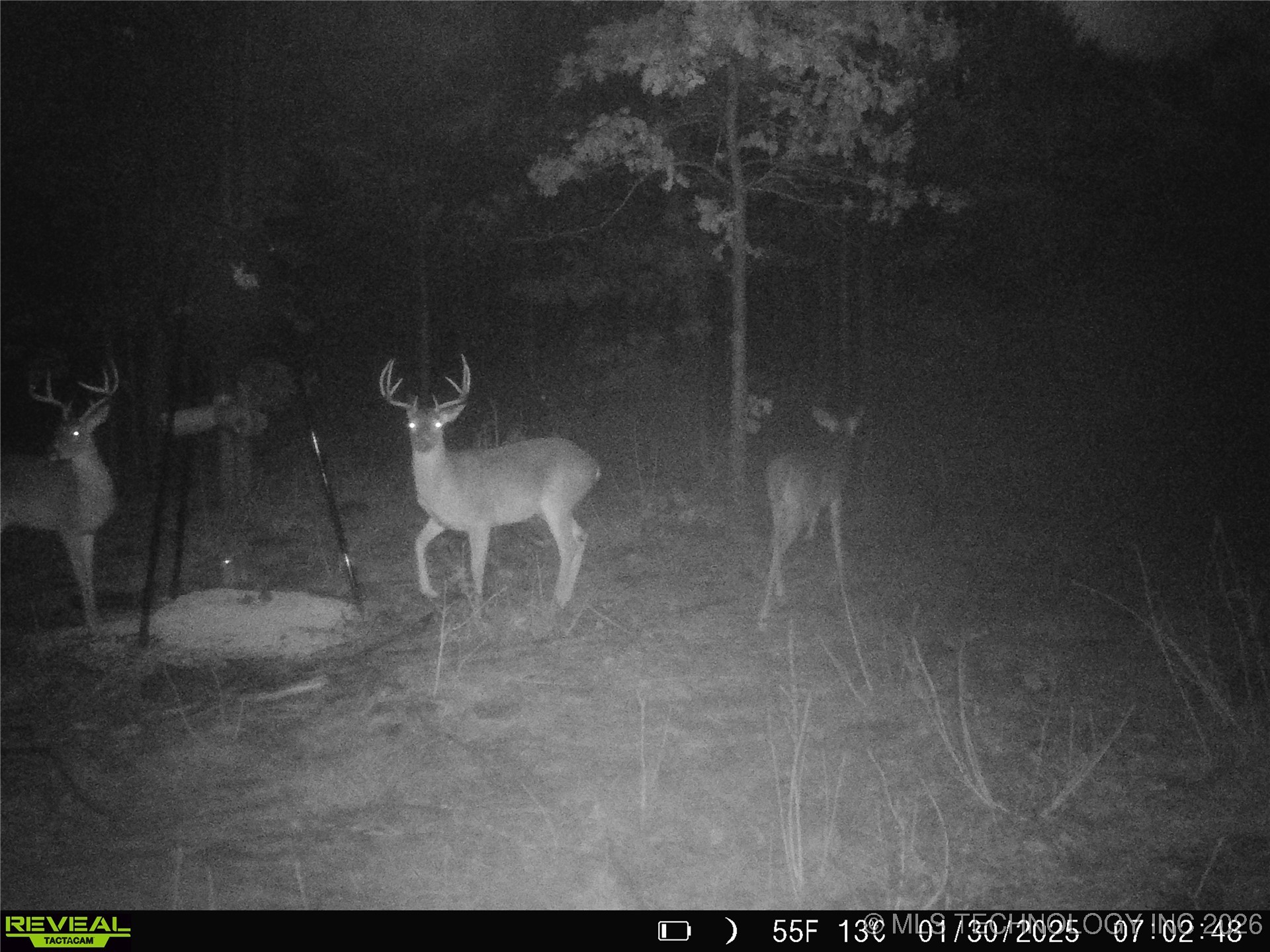 County Road 3885 Property Photo 36